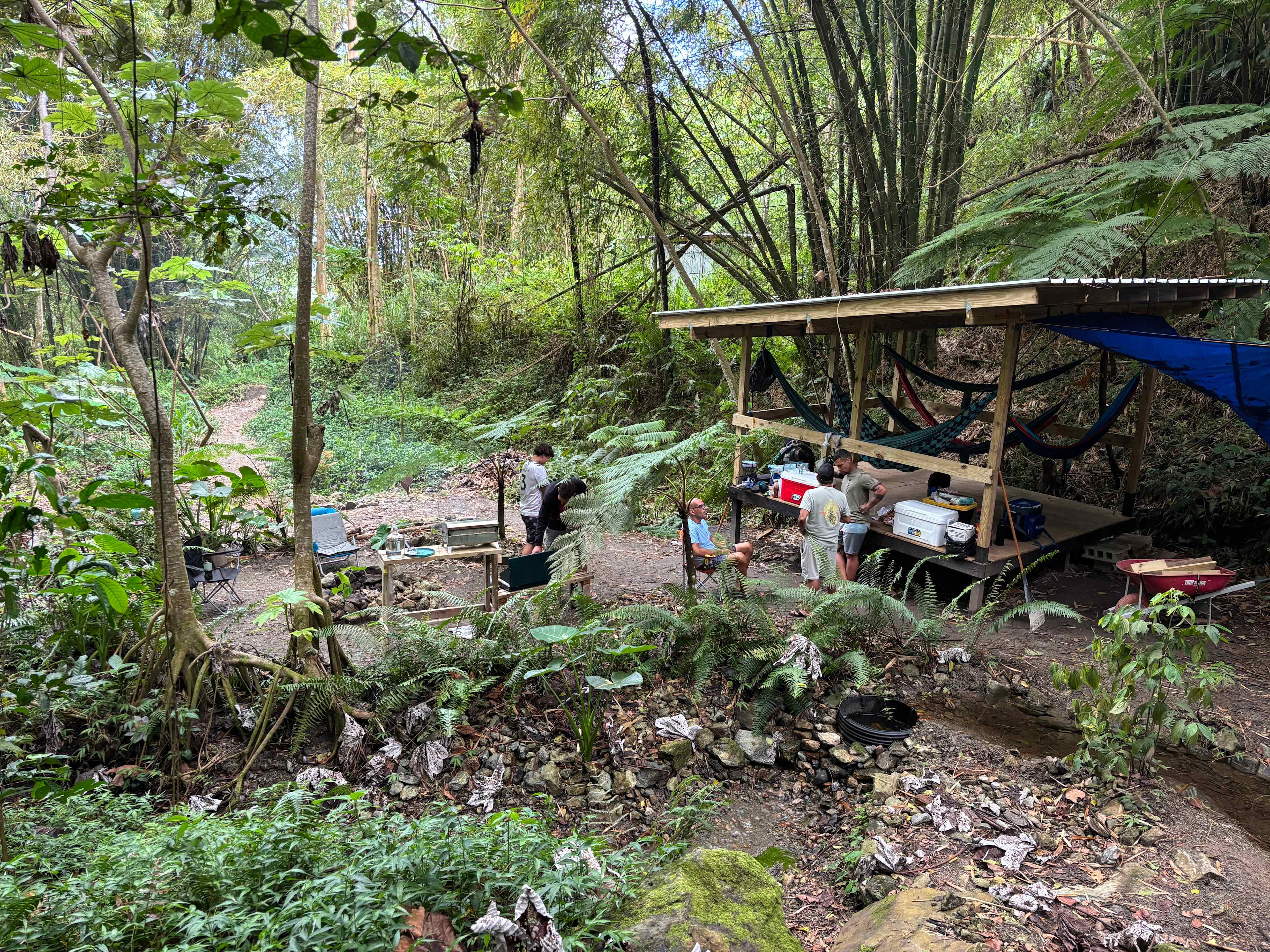 Rainforest Camping @ Verde Yuke