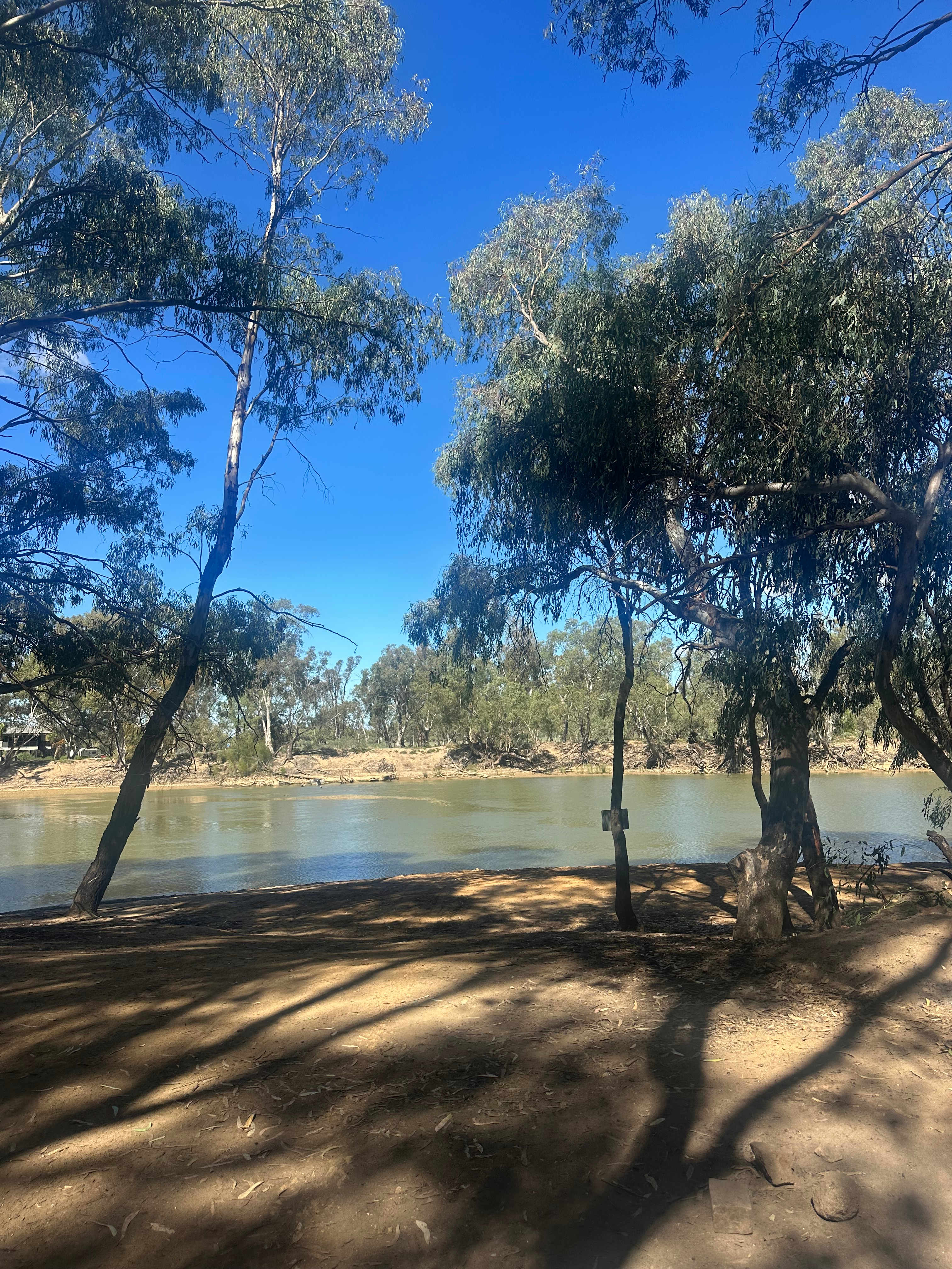 Murray View