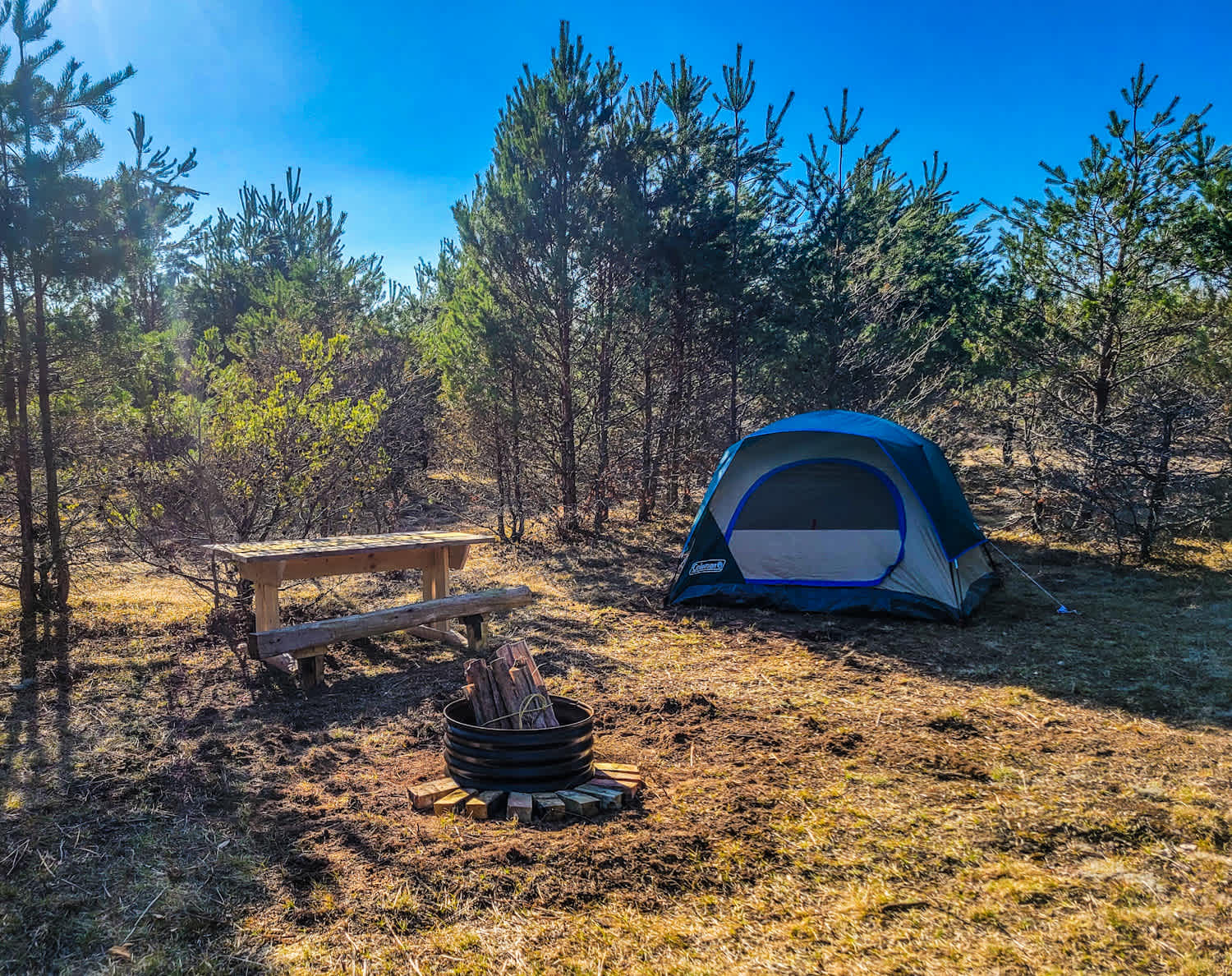 Picture of the site