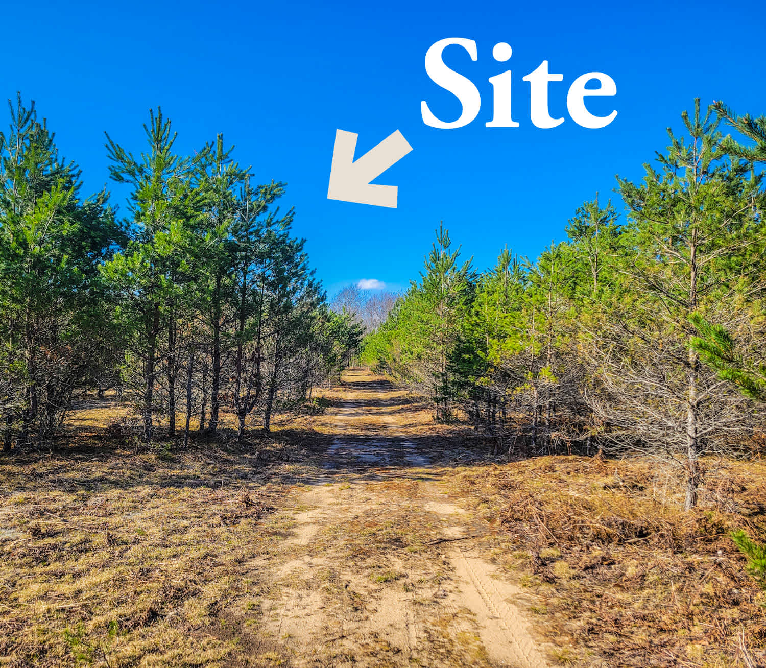 Picture of the site