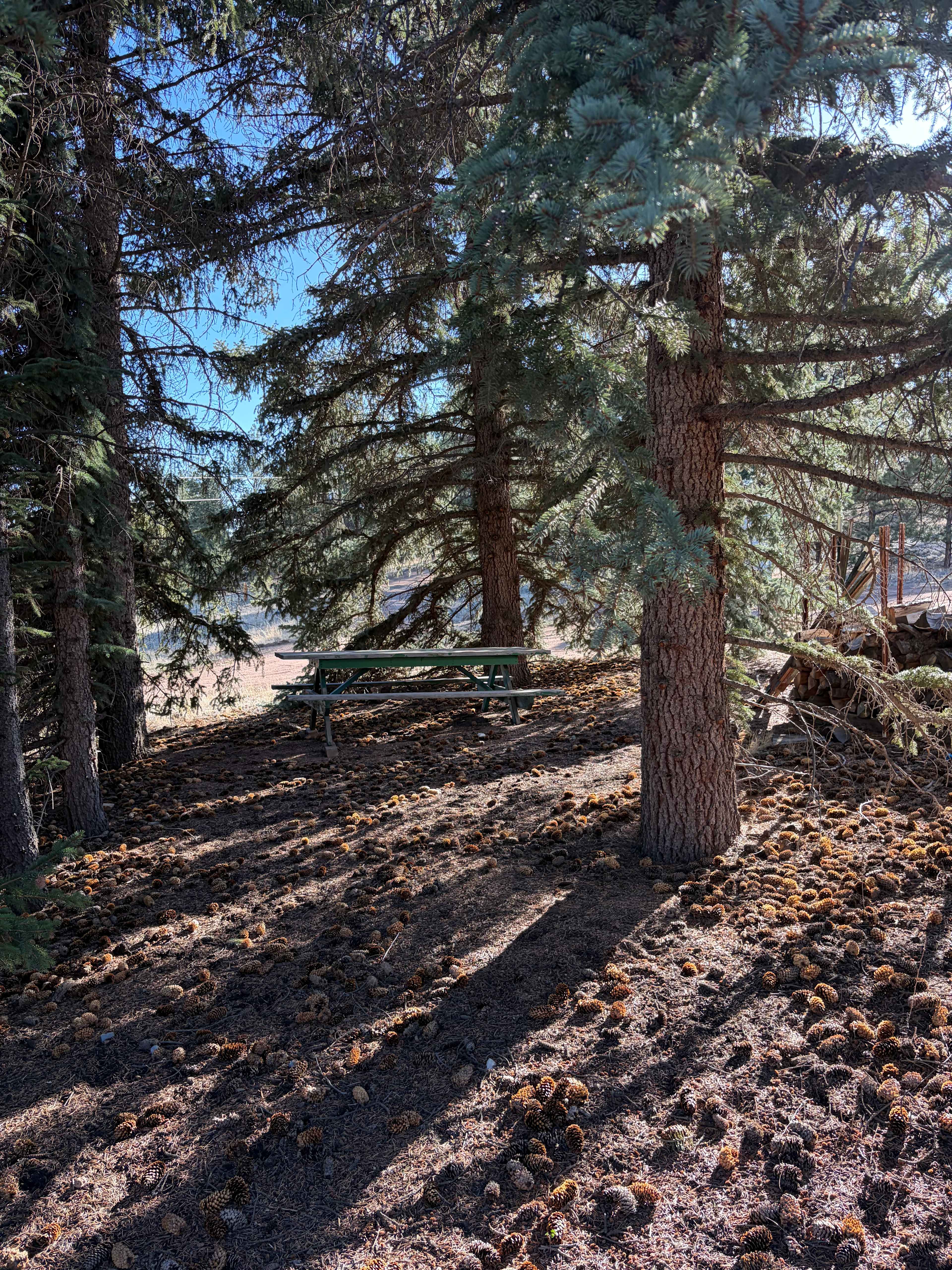 Pikes Peak Drive Peaceful Acres
