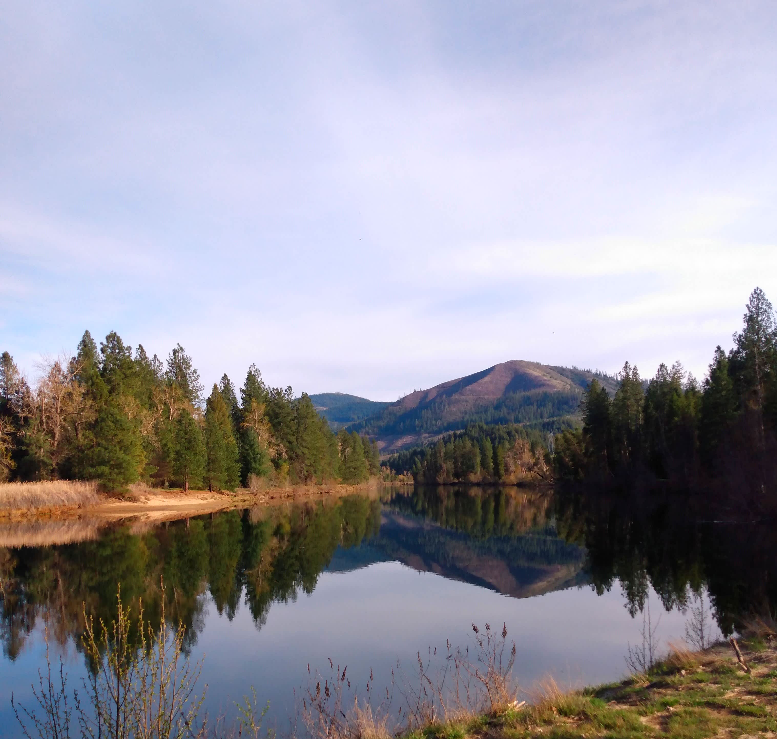 Camp site