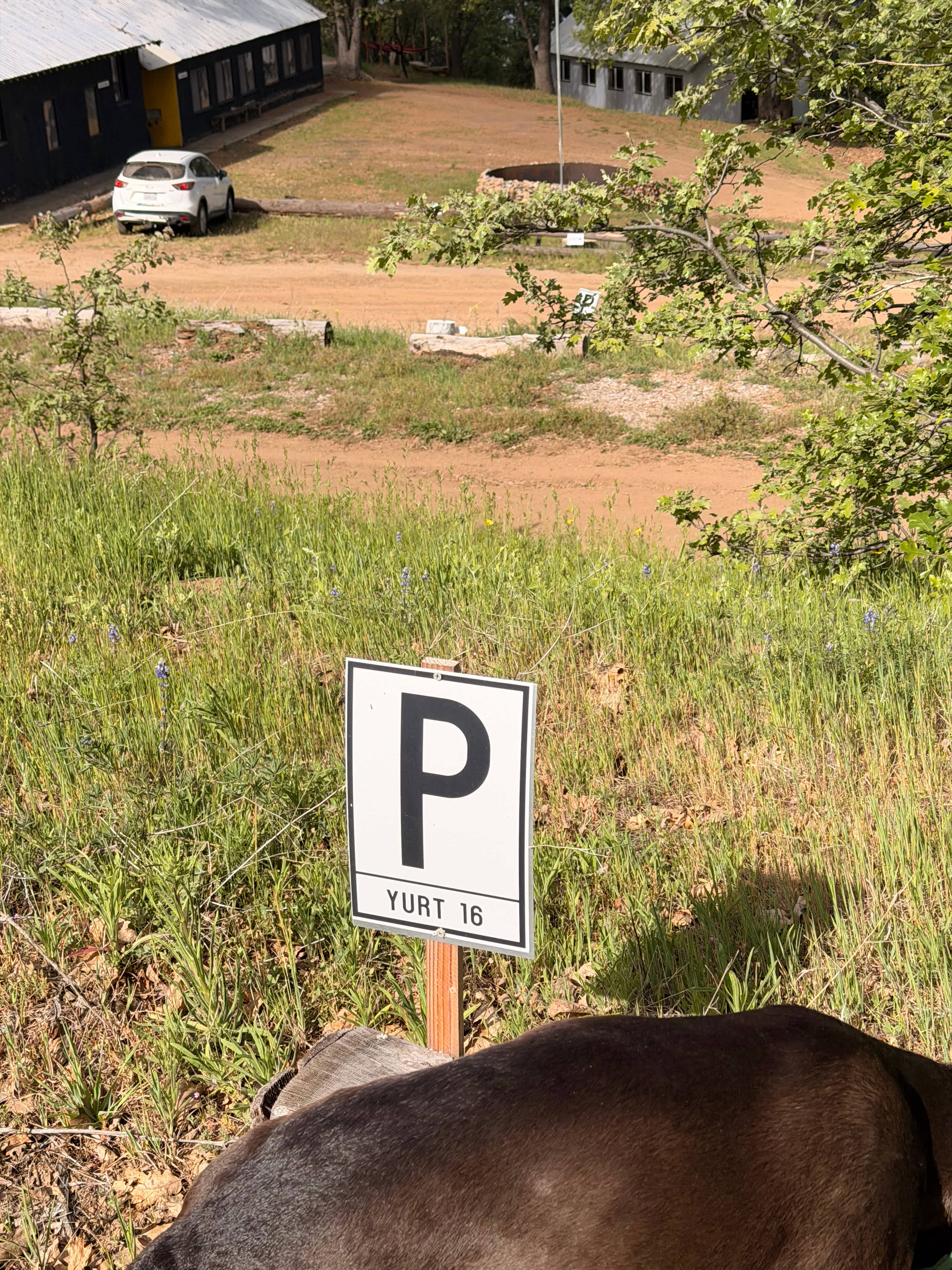 Note the designated parking
