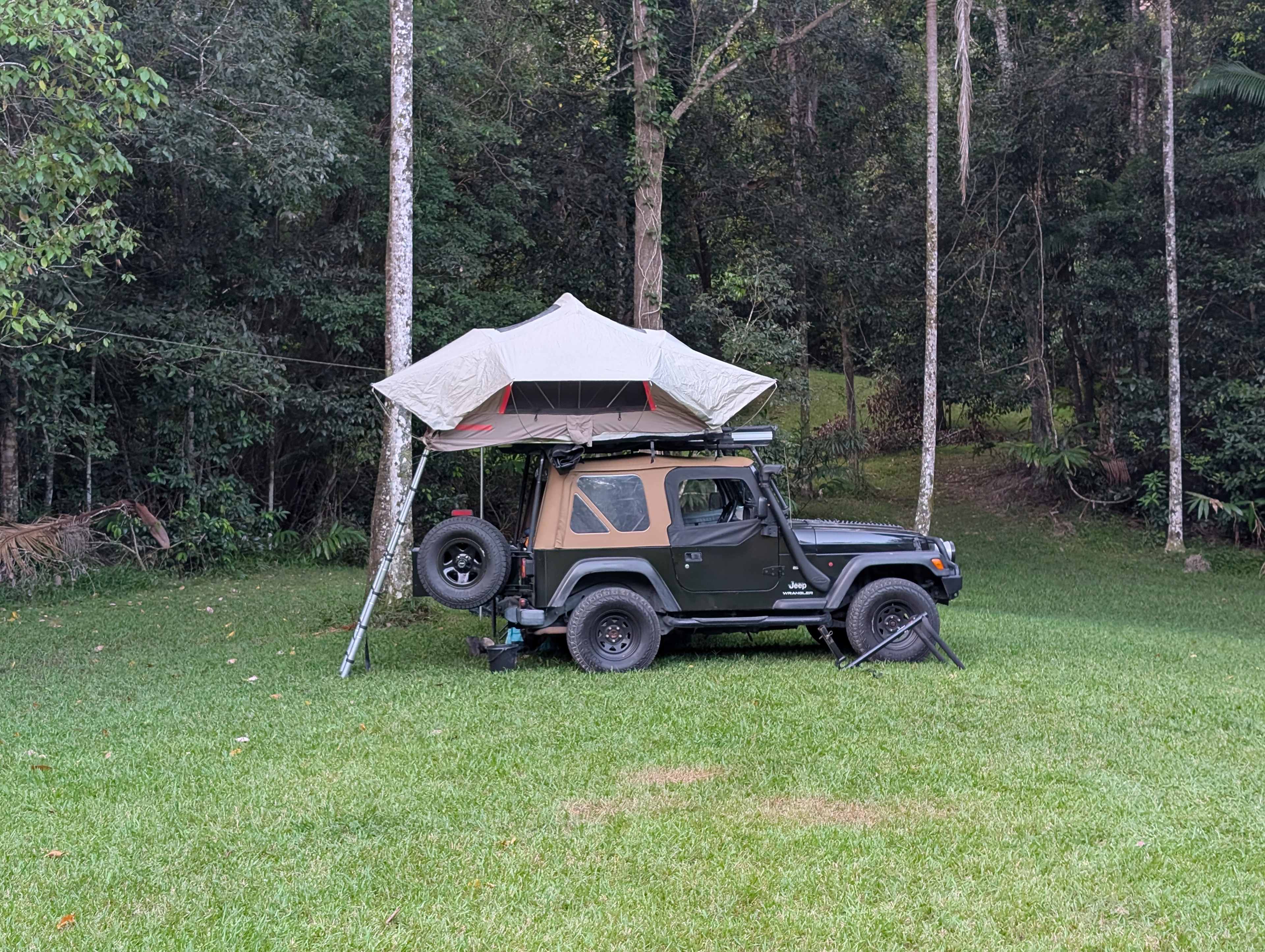 Raintree Hollow (Base Camp) - Sunshine Coast