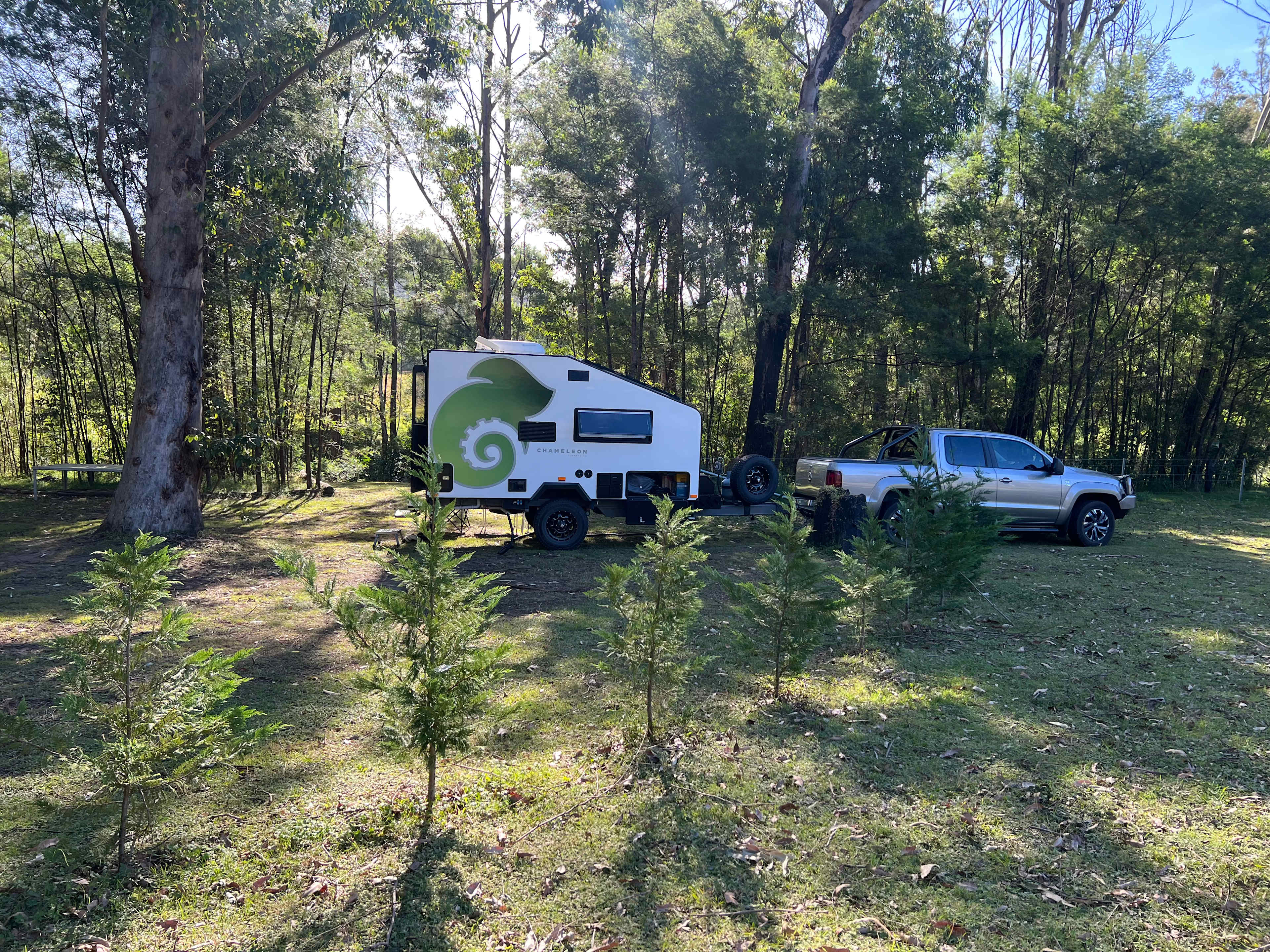 Wombat Hollow