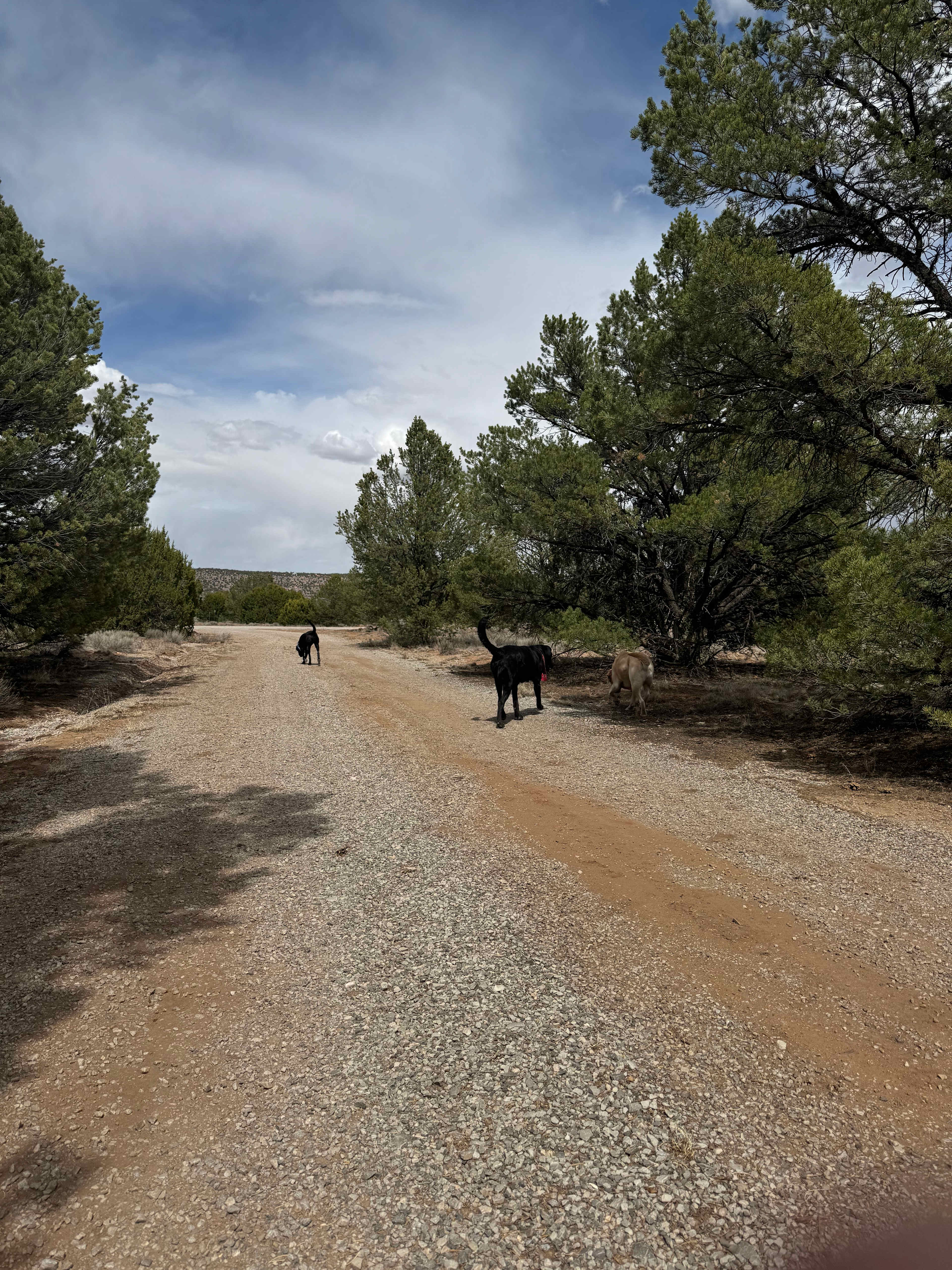 Blue Water Camp And Boondocking