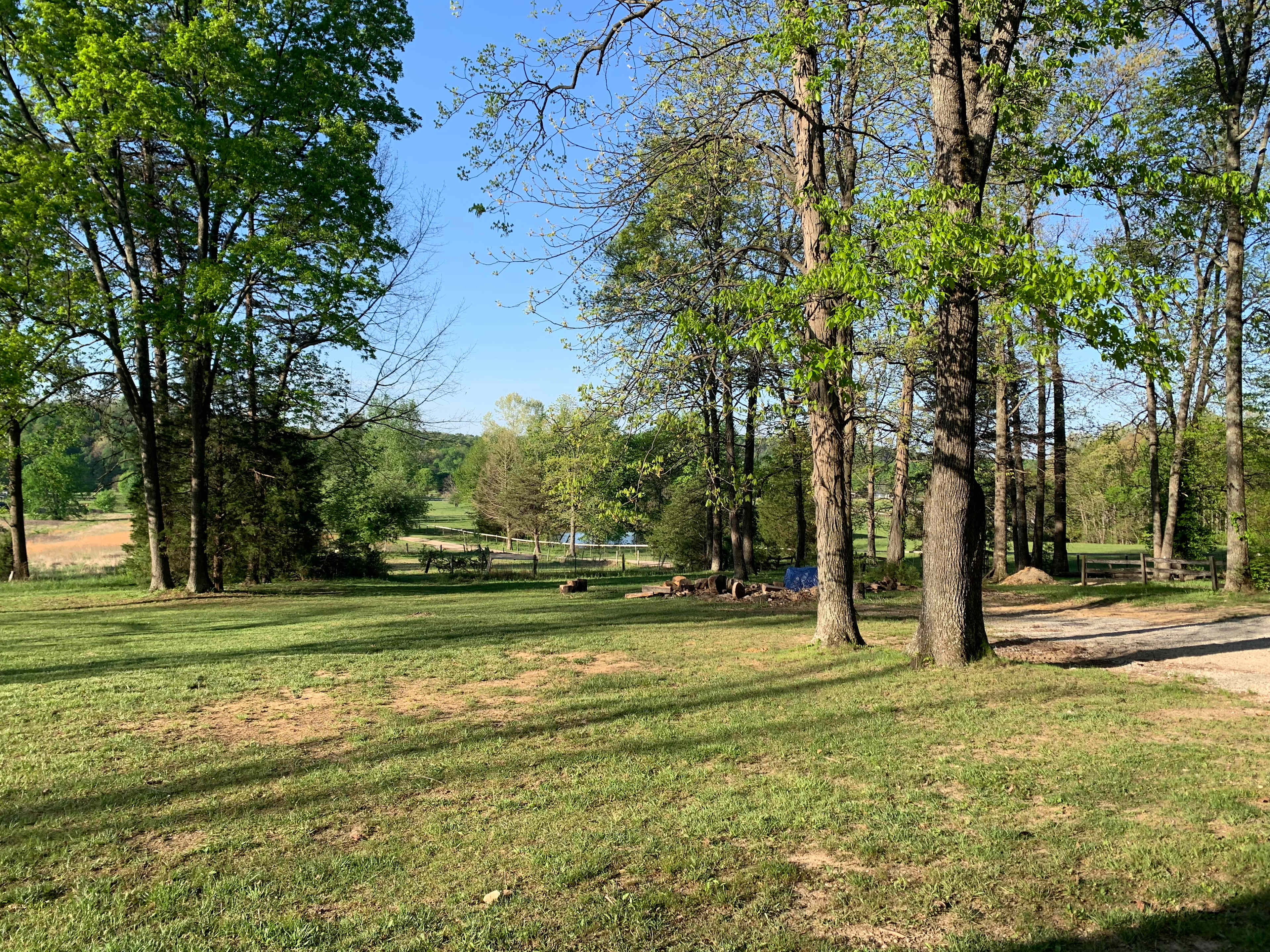 Tree lined welcome