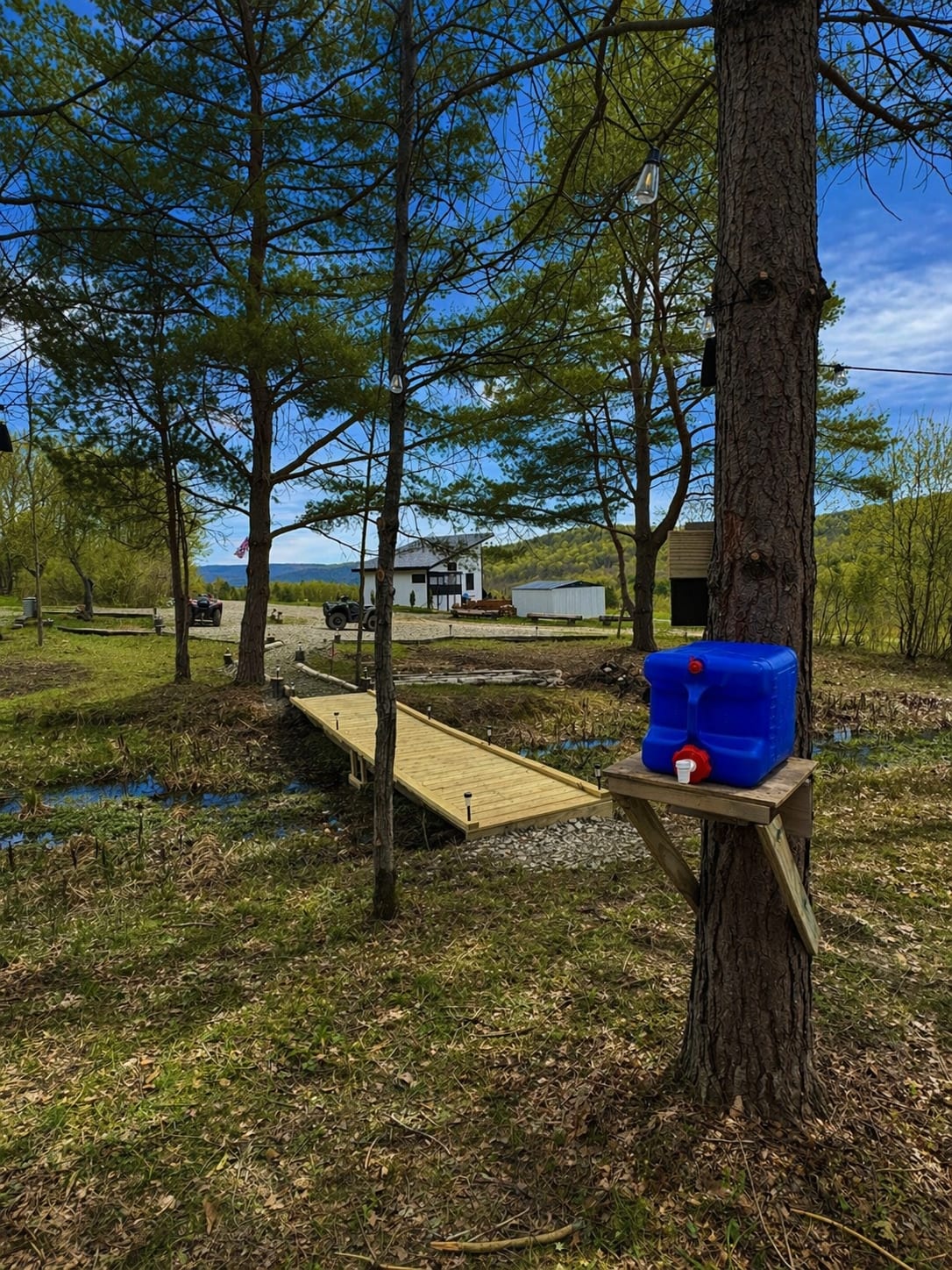 Picture of the site