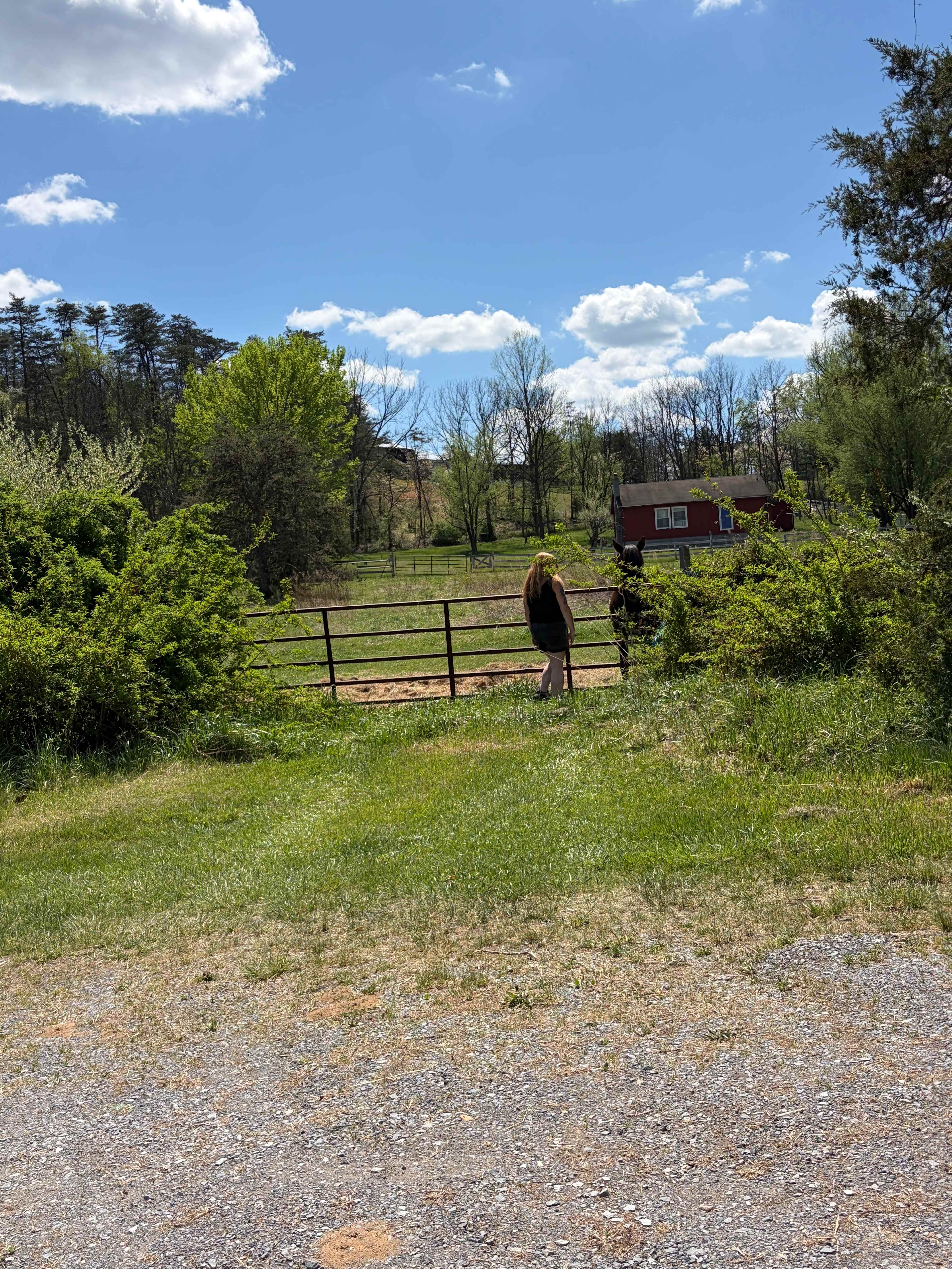 Carp Cove Farm