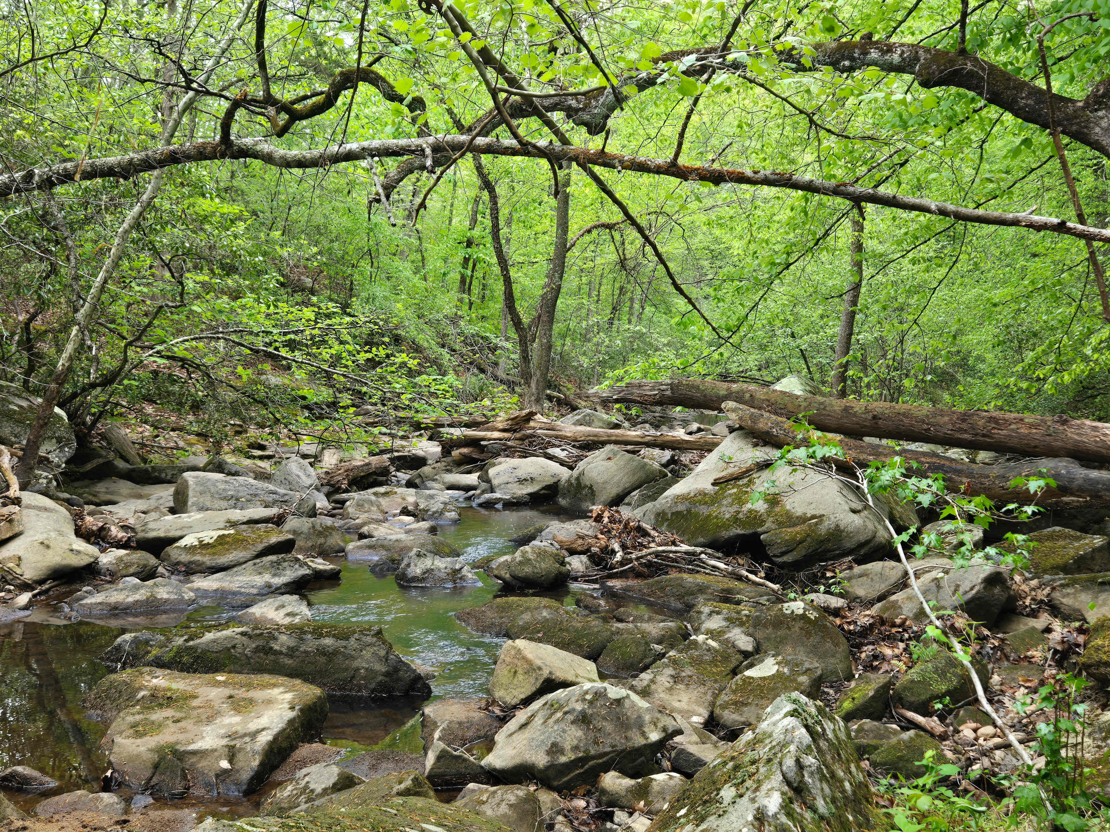Where hiked down the river