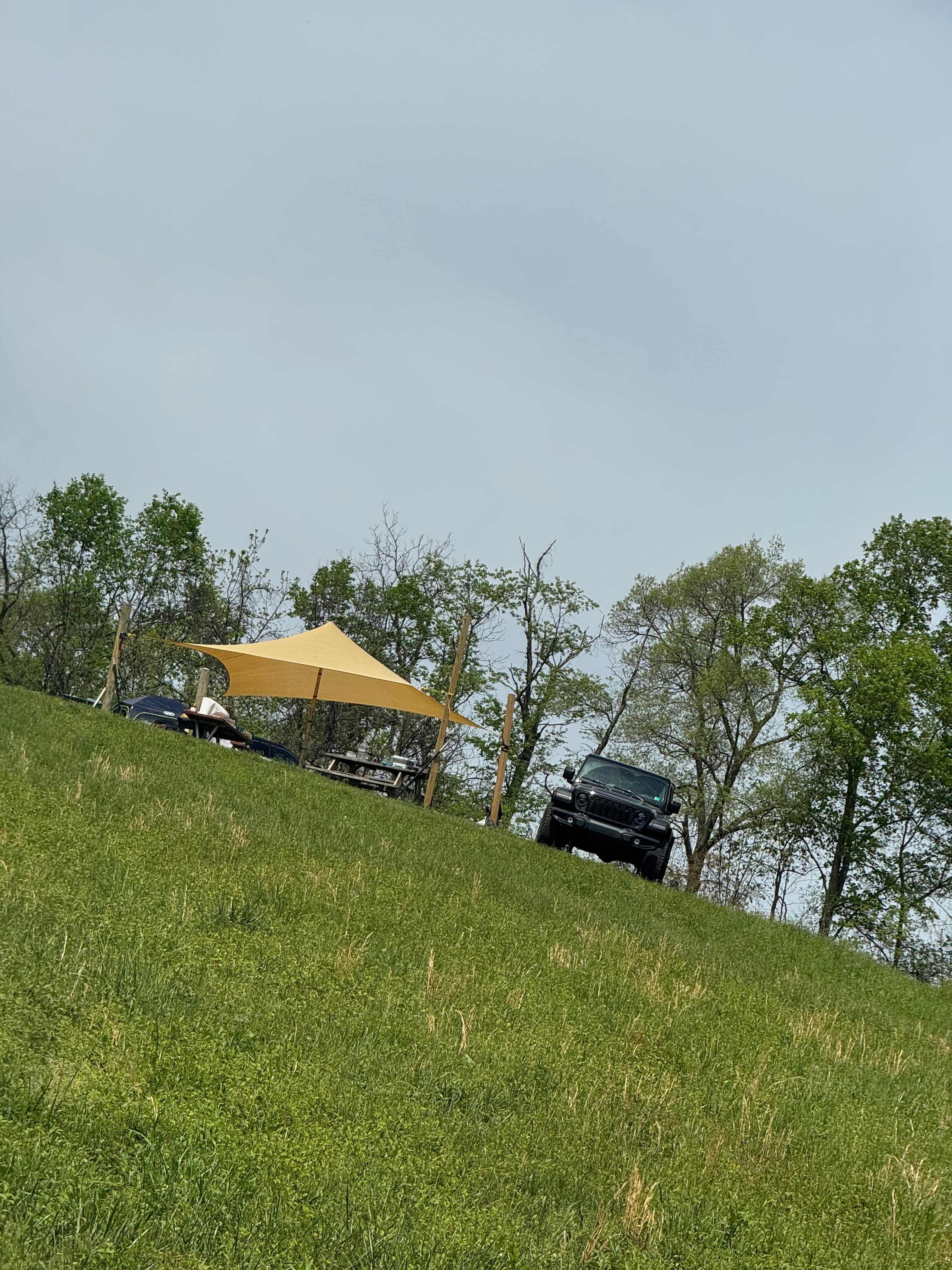 Showcases canopy included on site