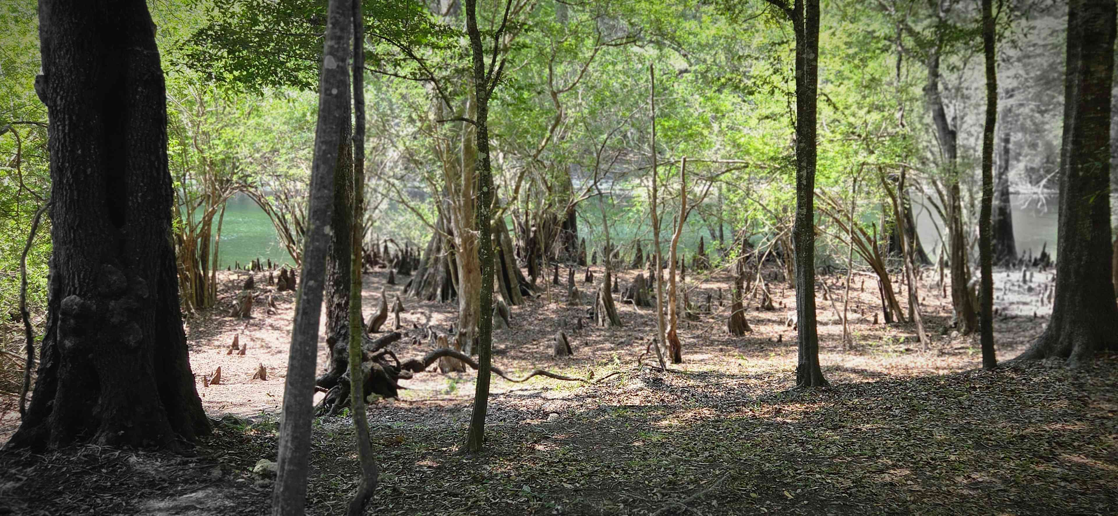 Bowman's Landing