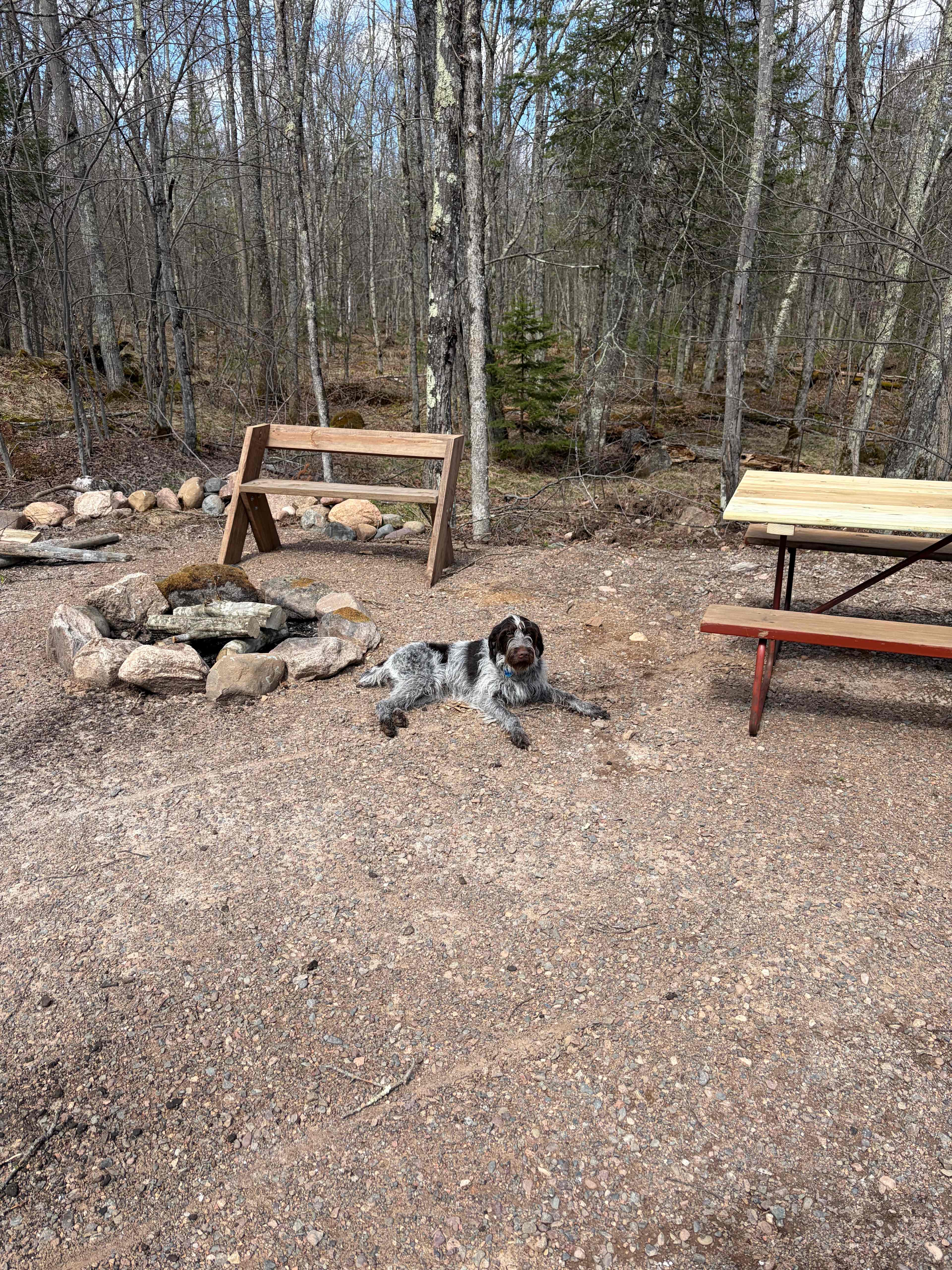 The upper RV/Tent site has a fire pit and picknick table for your use. Dog not included..