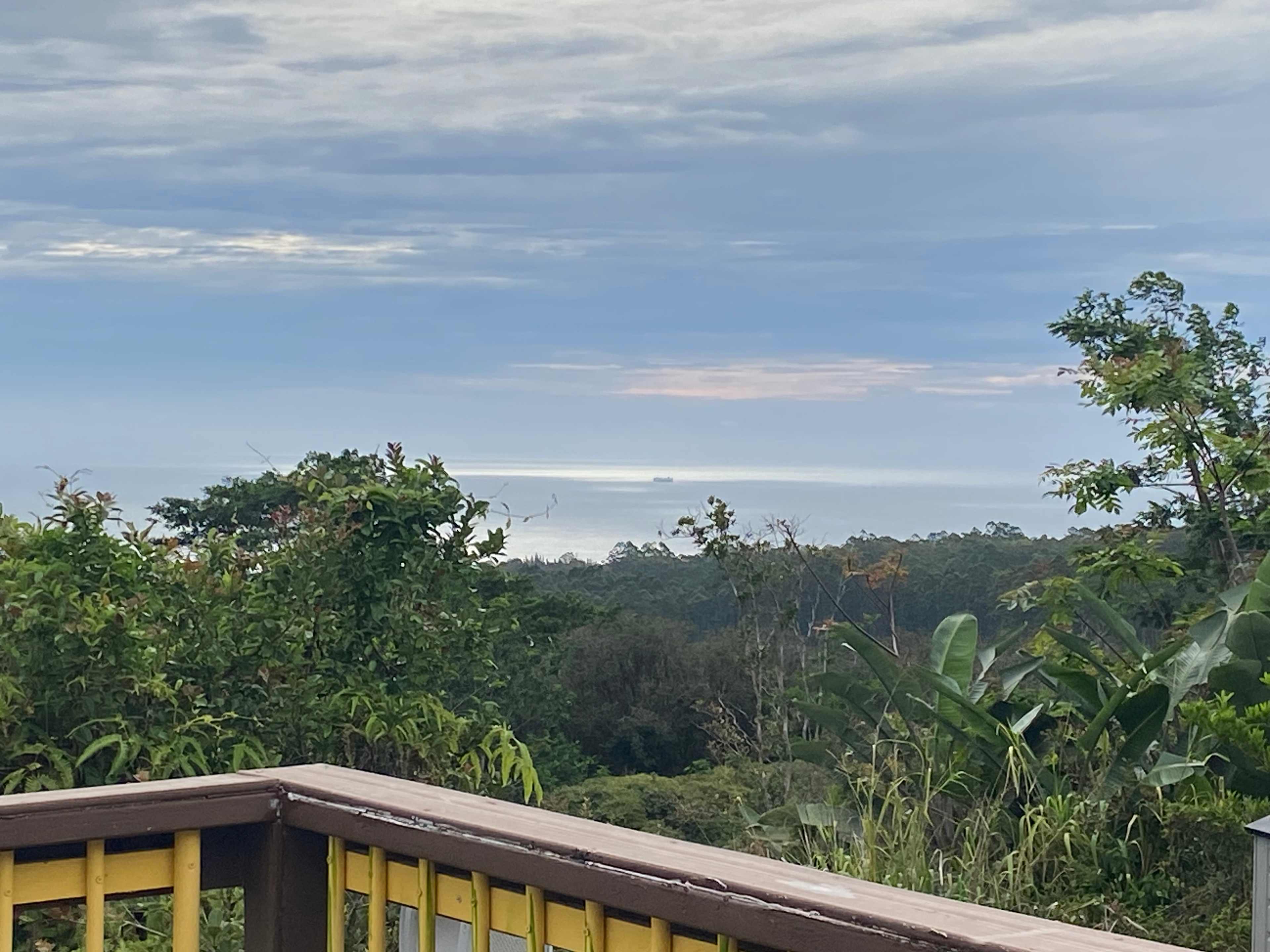 IO's NEST LOOKOUT on the Hamakua