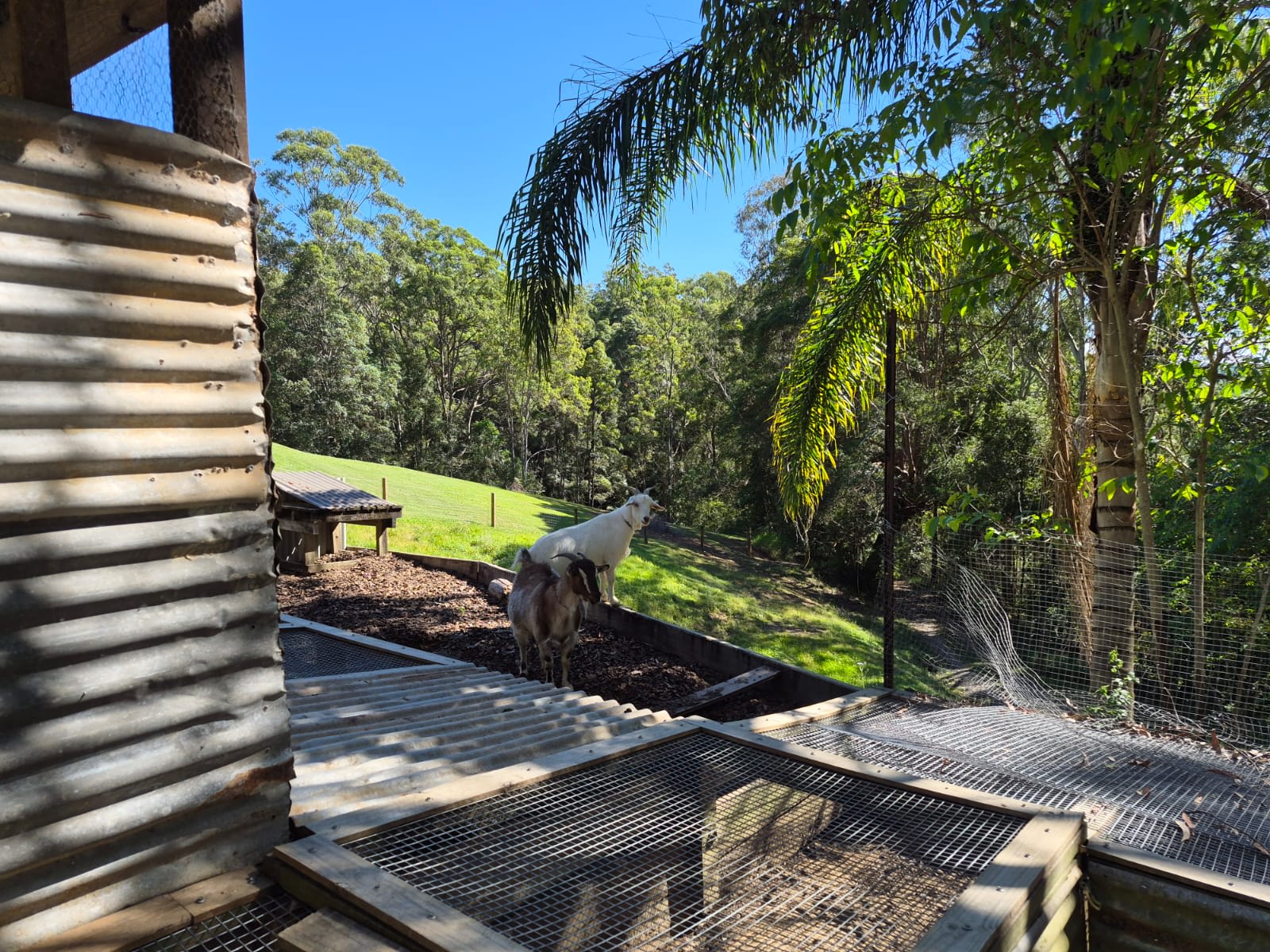Hunchy Hills 4WD Bush Camping