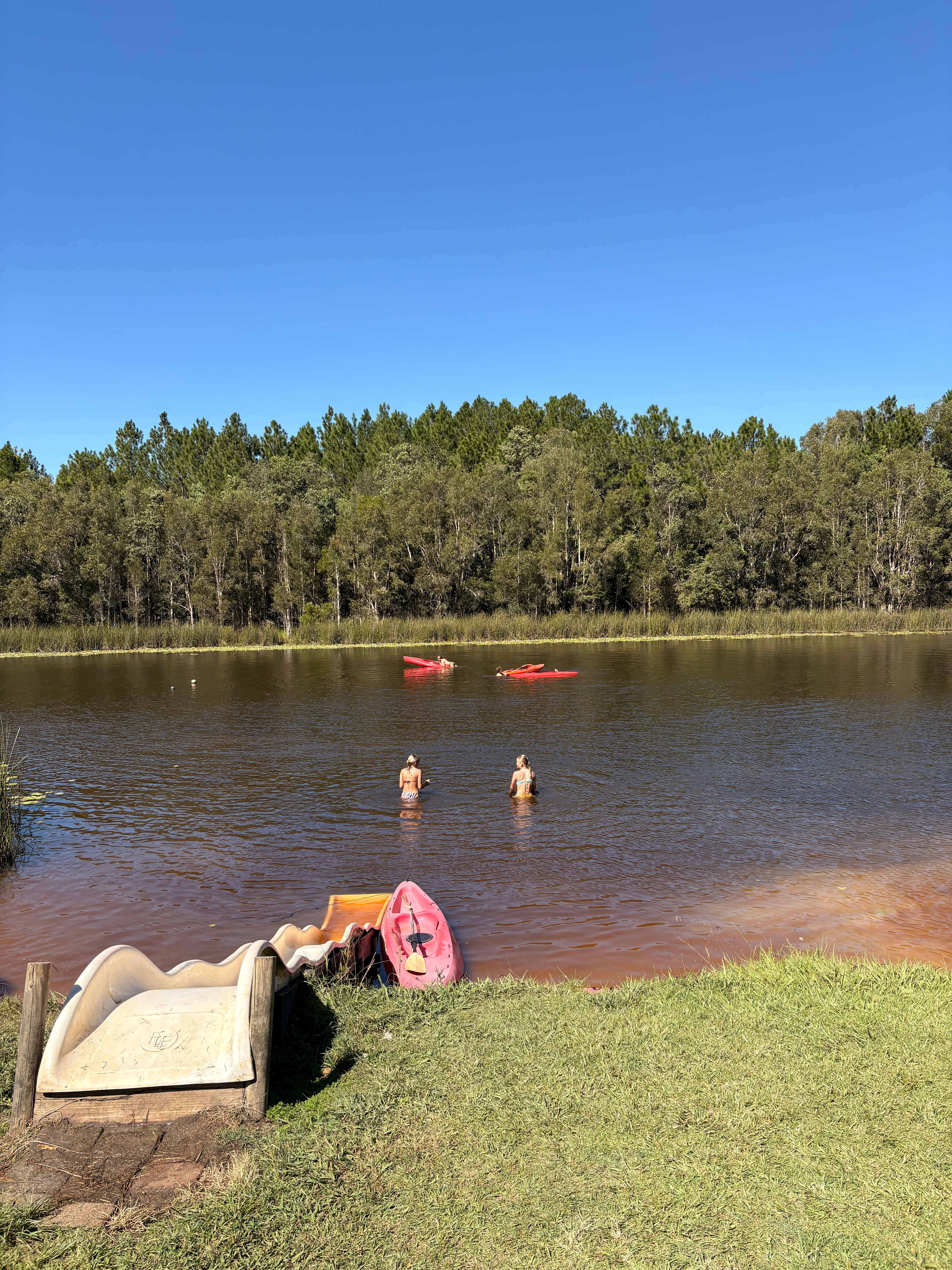 Bushywood at Woodfordskilake