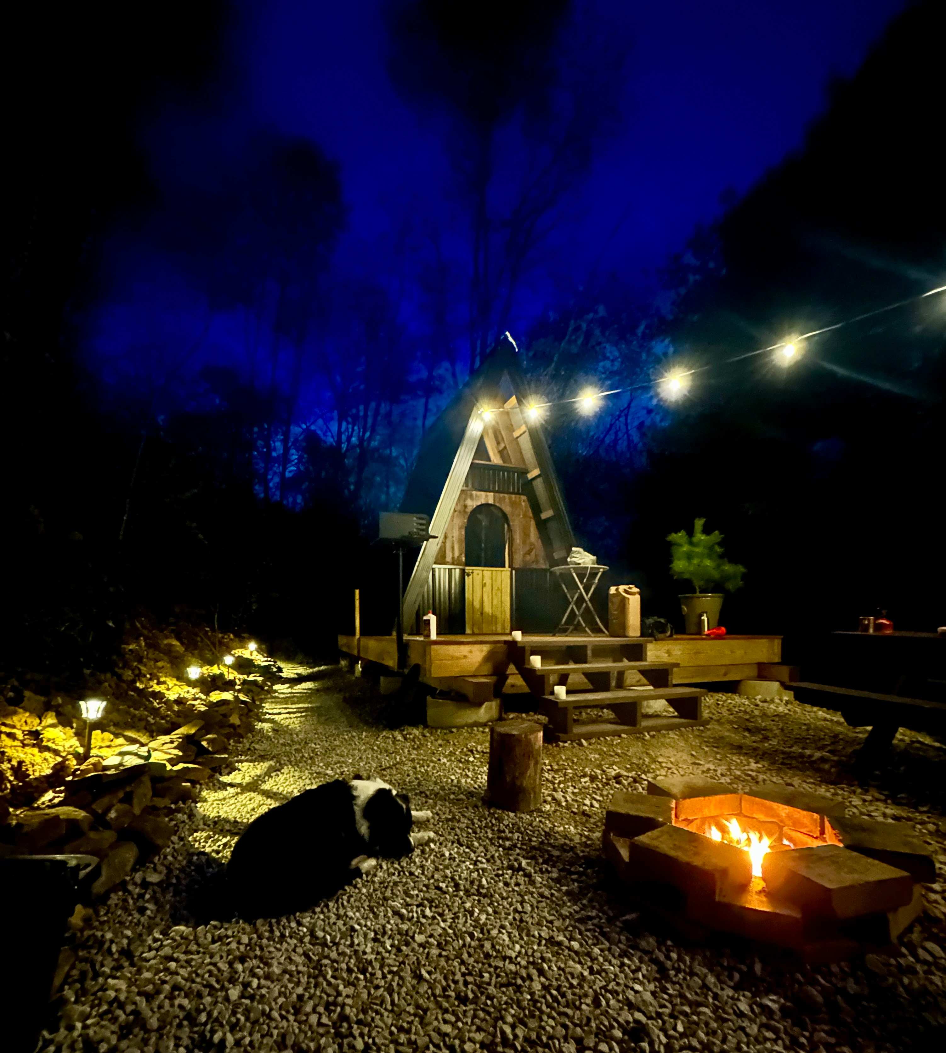 Picture of the site
