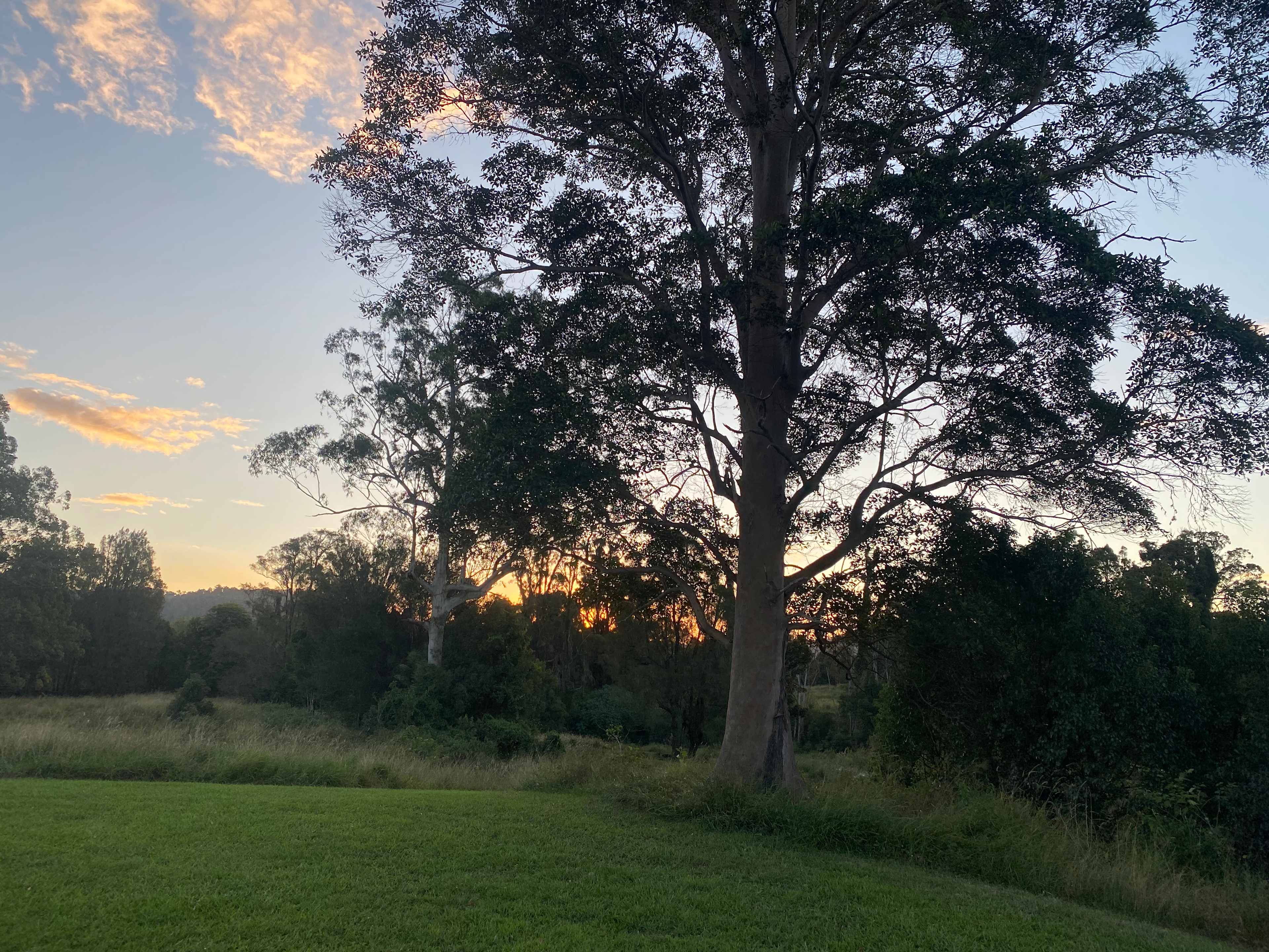 Beautiful sunsets 