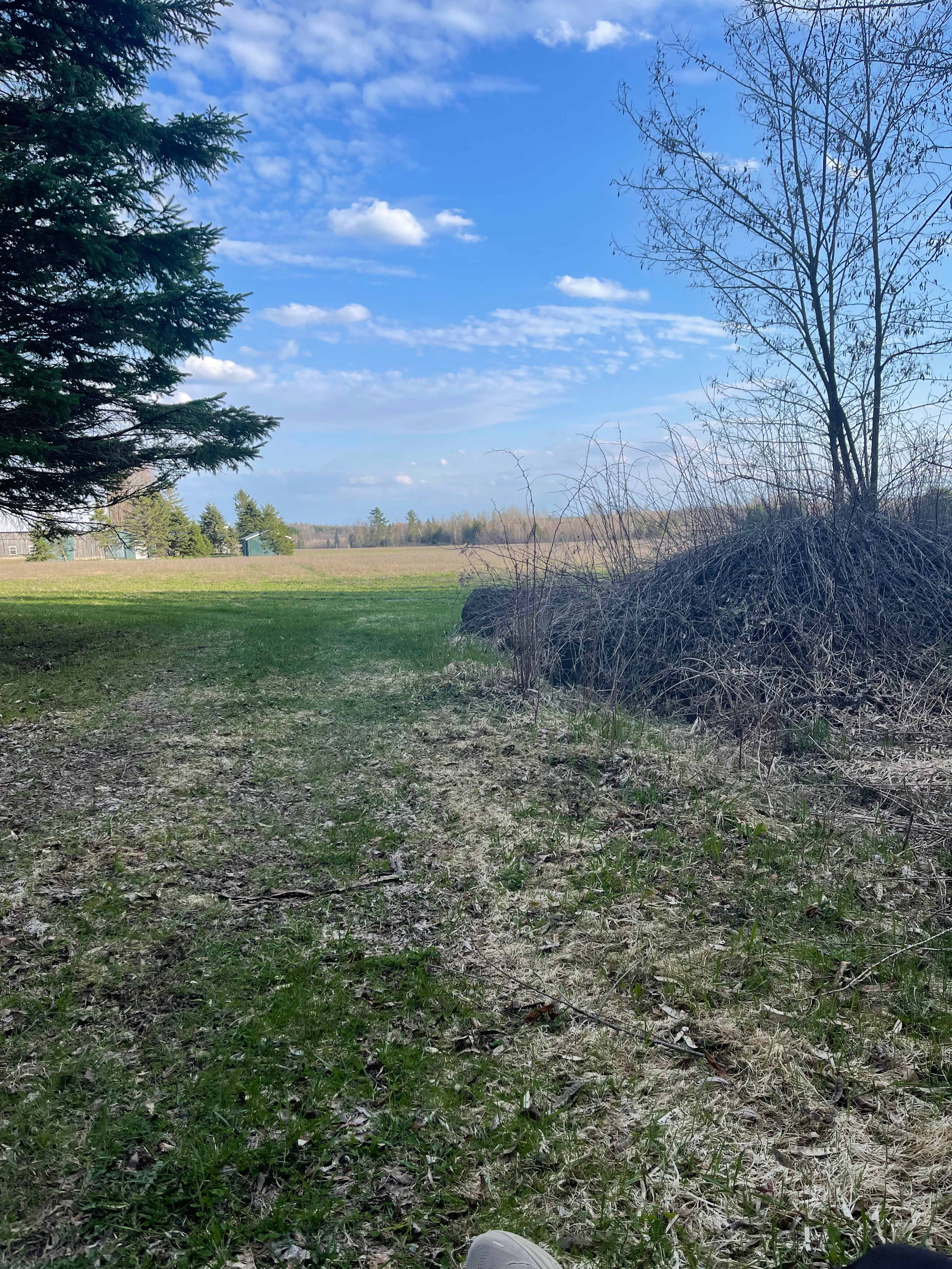 Cedar fox Farm