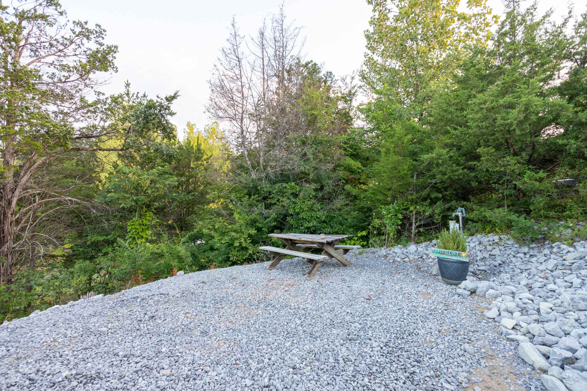 Picture of the site