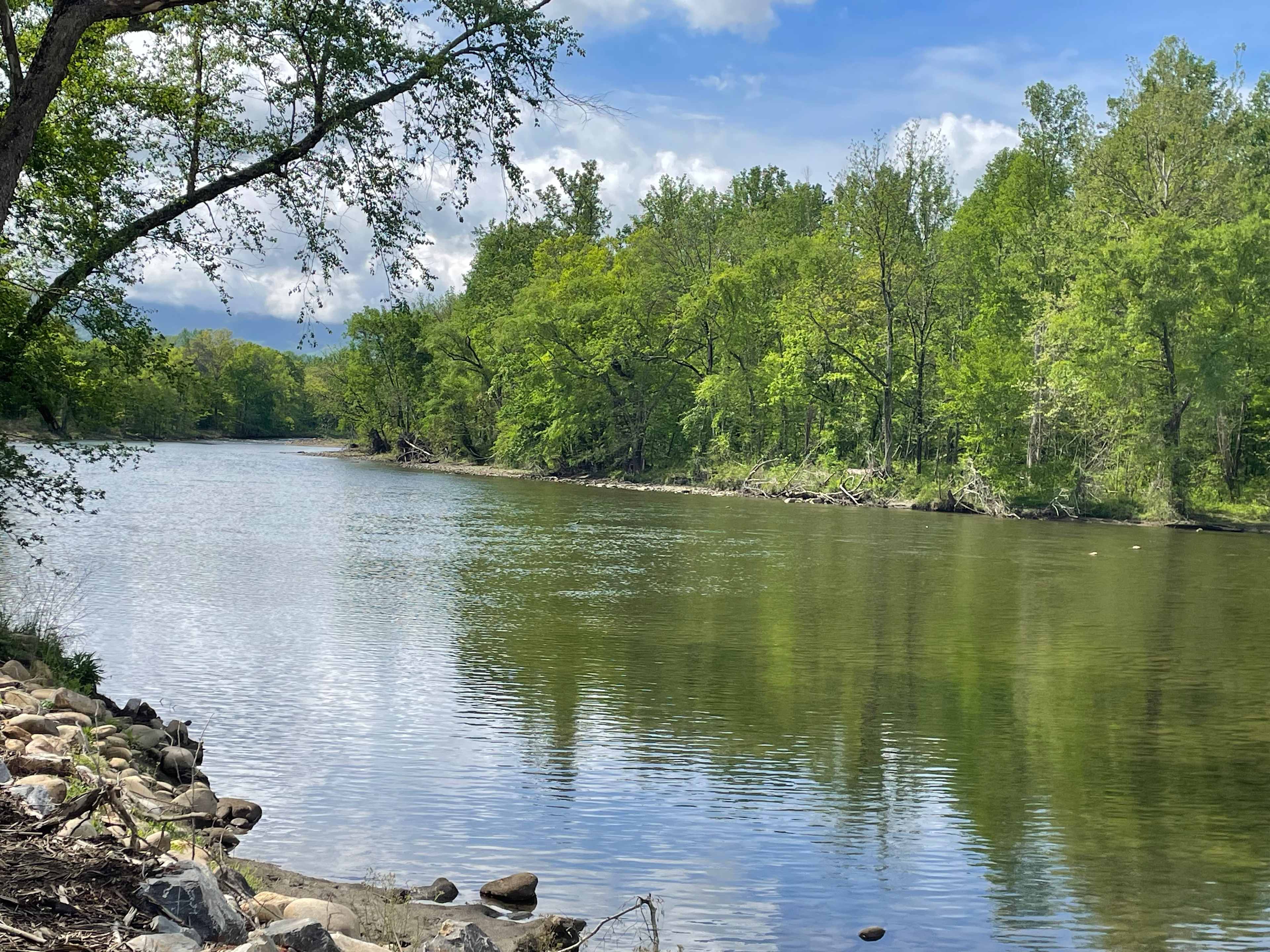 The River Life