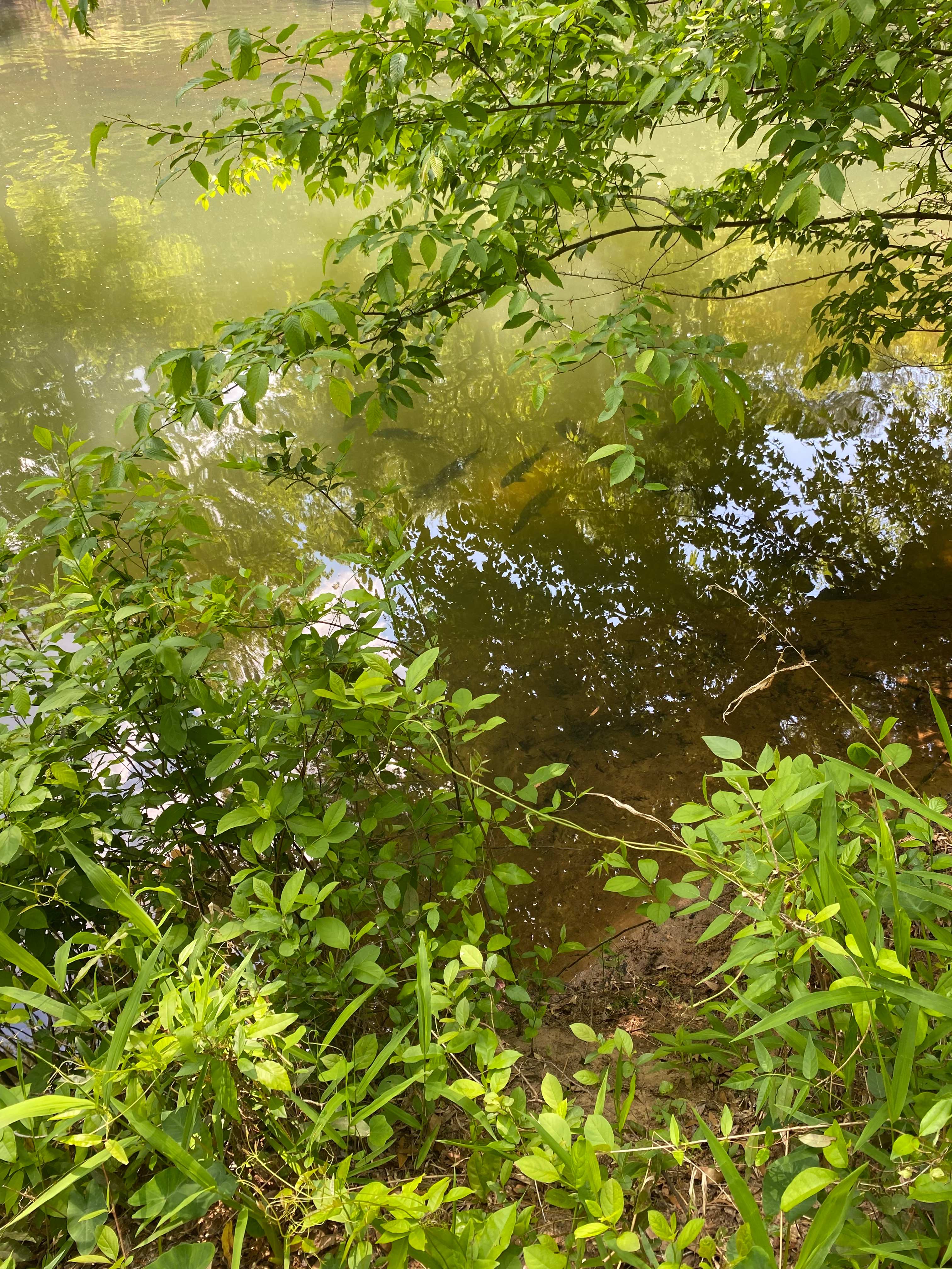 Secluded Riverbend Camp