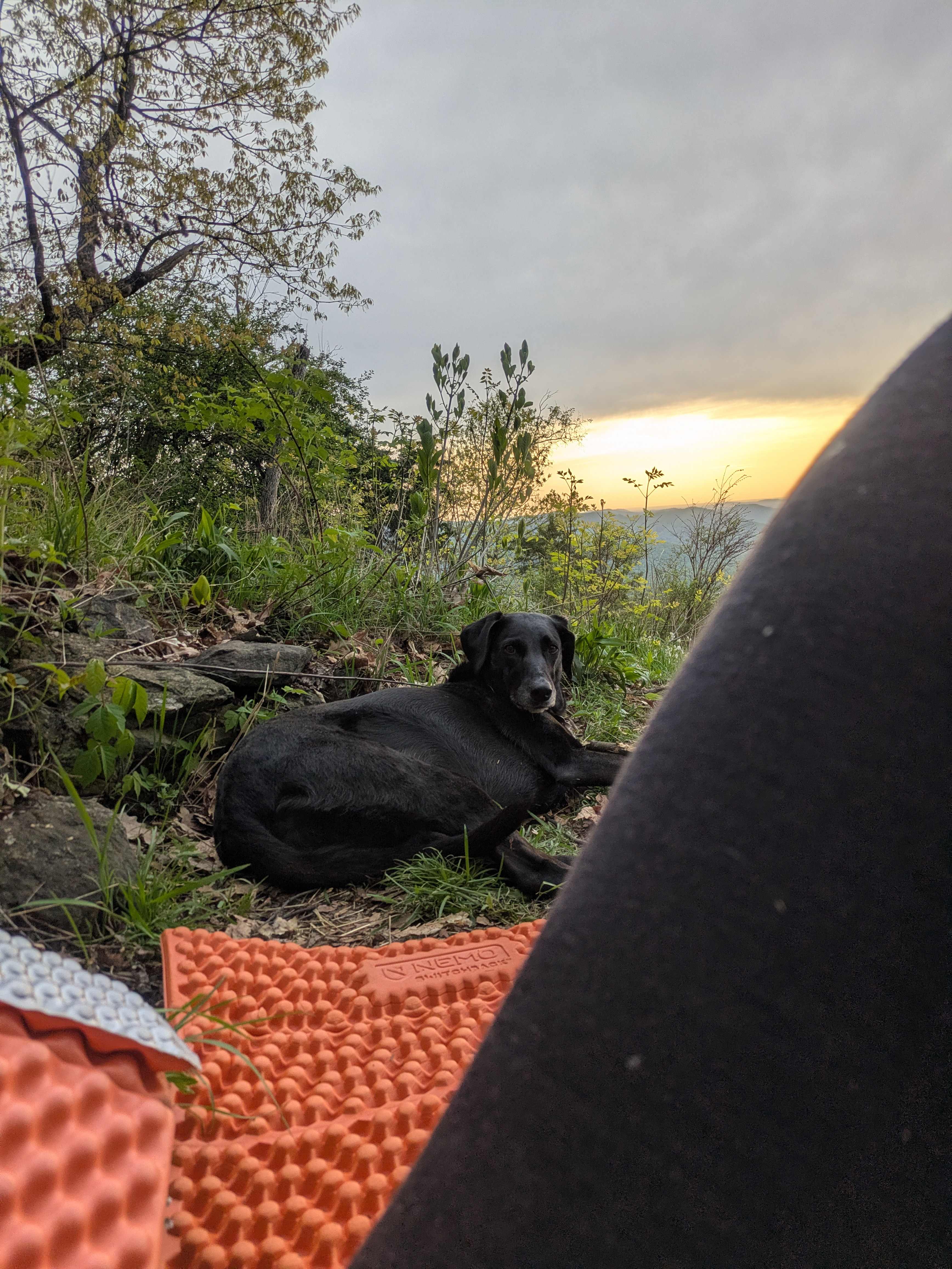 Camp Kilo