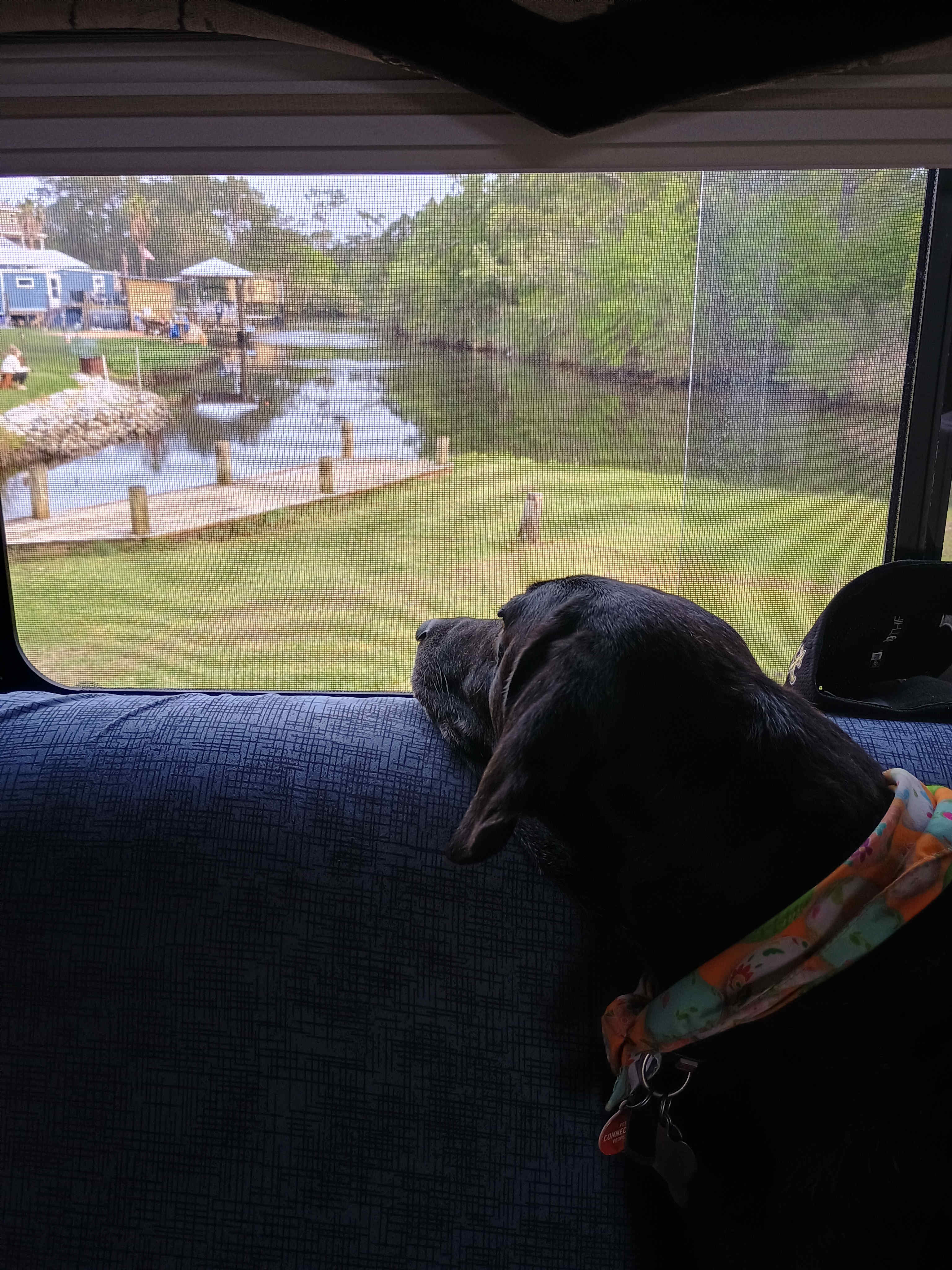 Bayou Peninsula