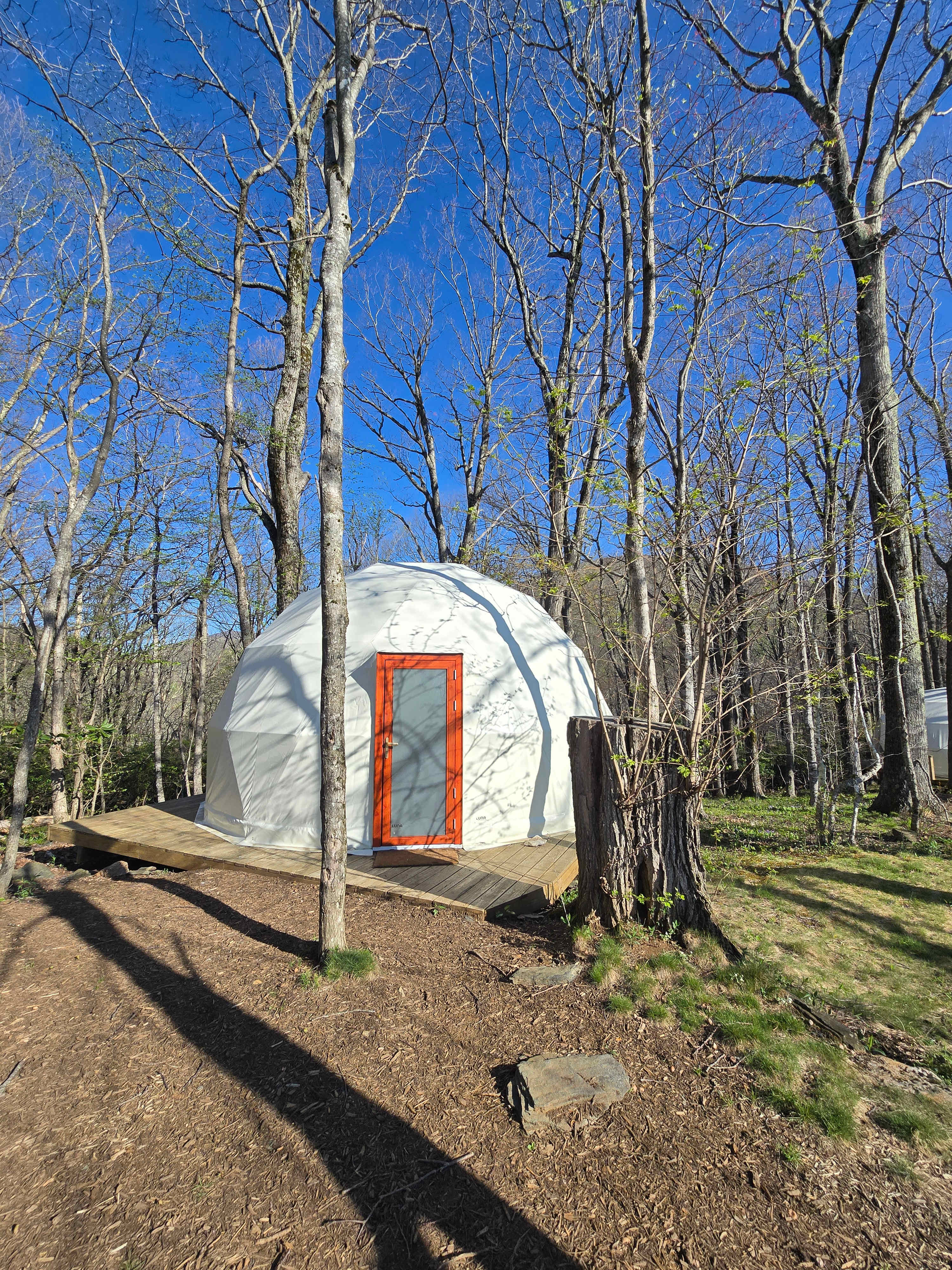 Blue Bear Mountain Camp