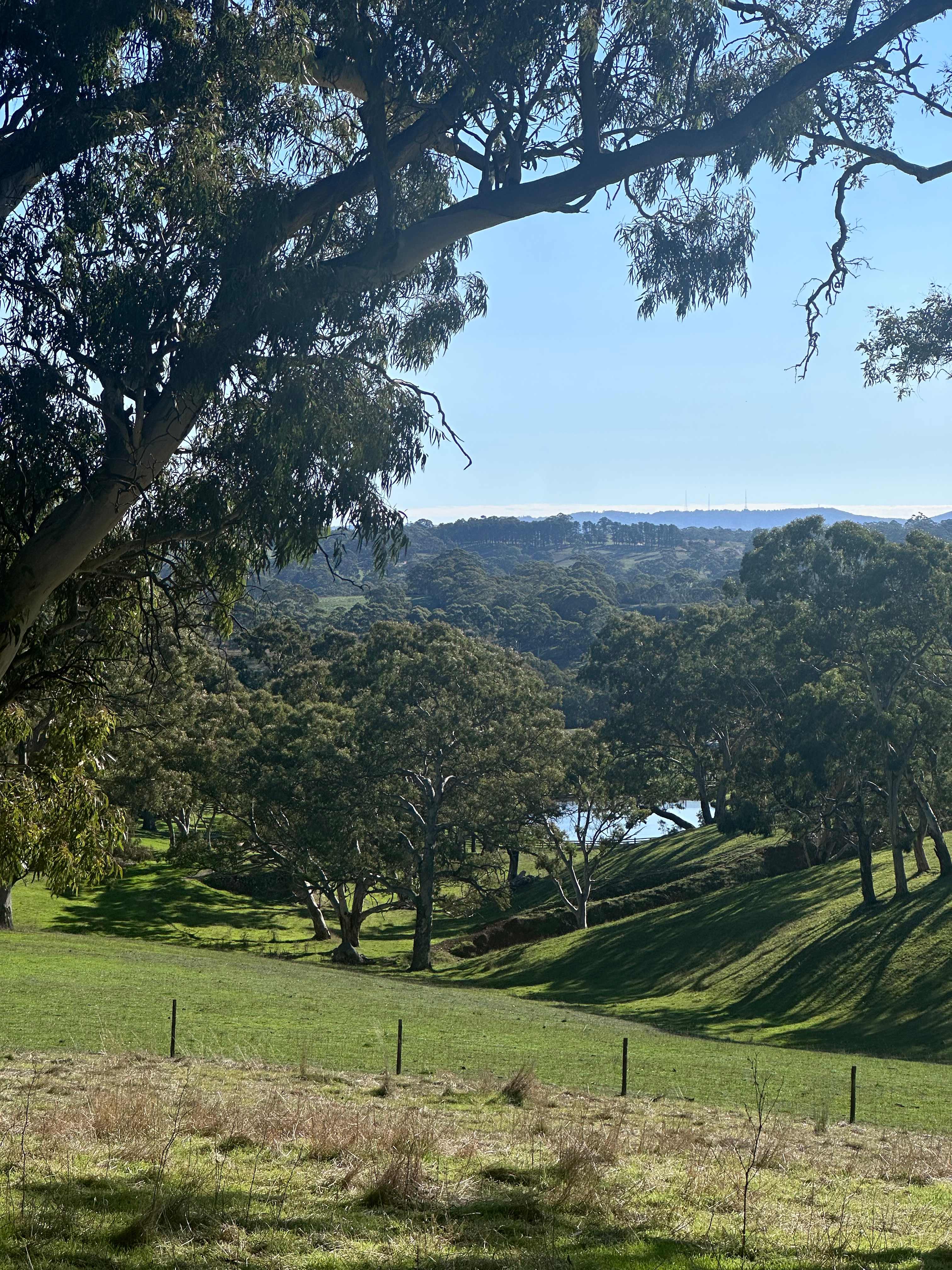 Hay Valley Farm