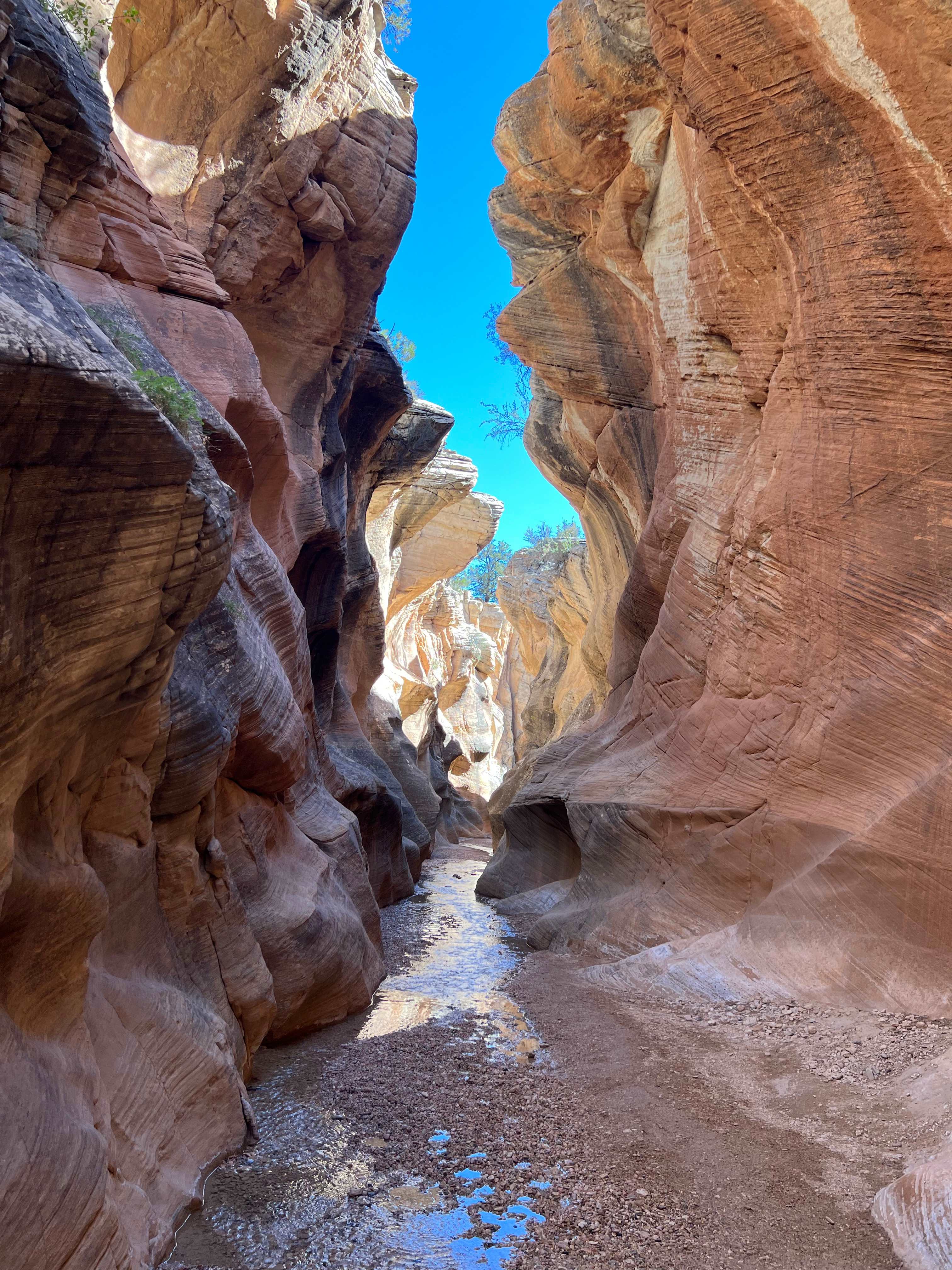 Willis Creek