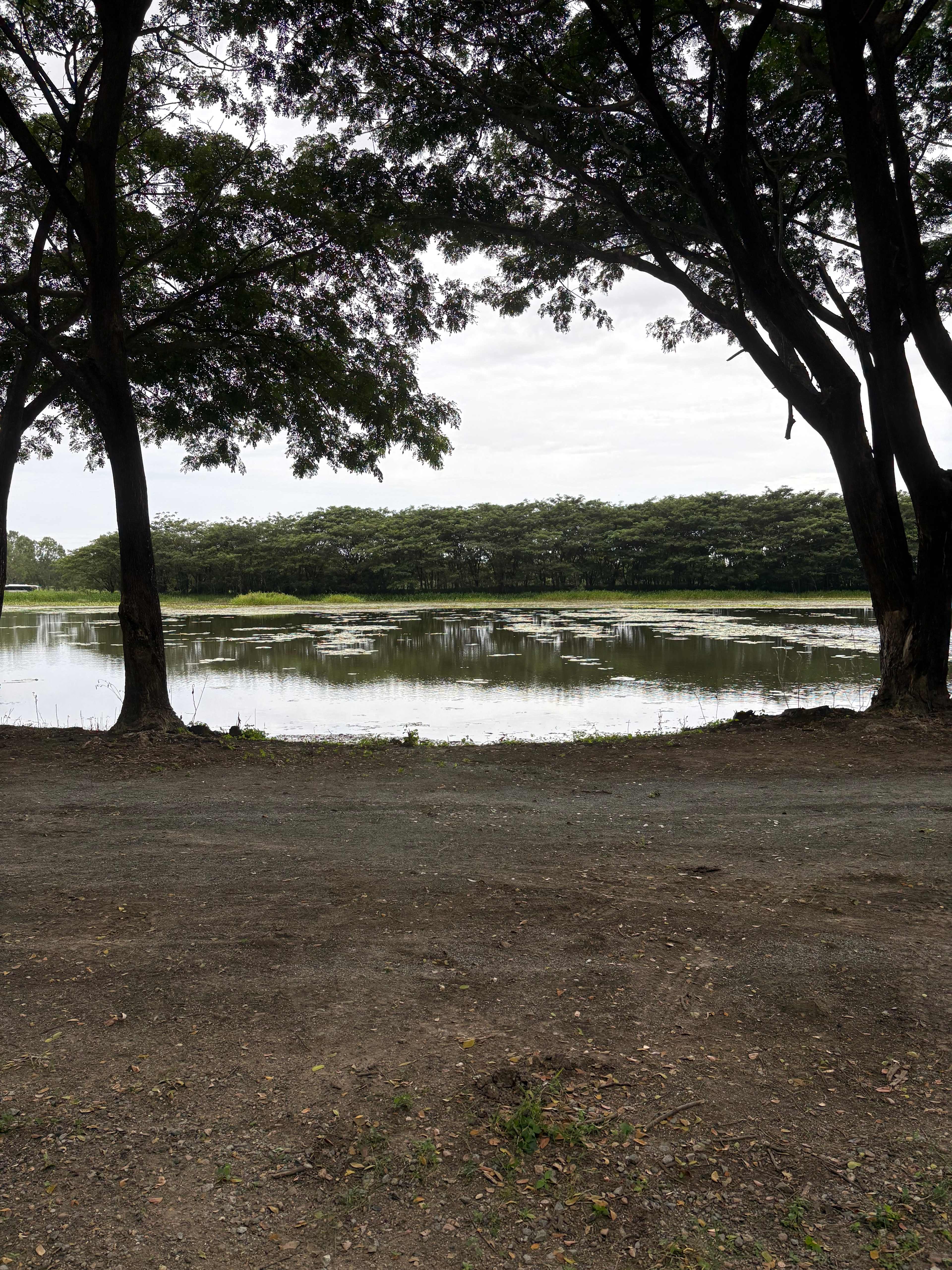Mount Surround Campground