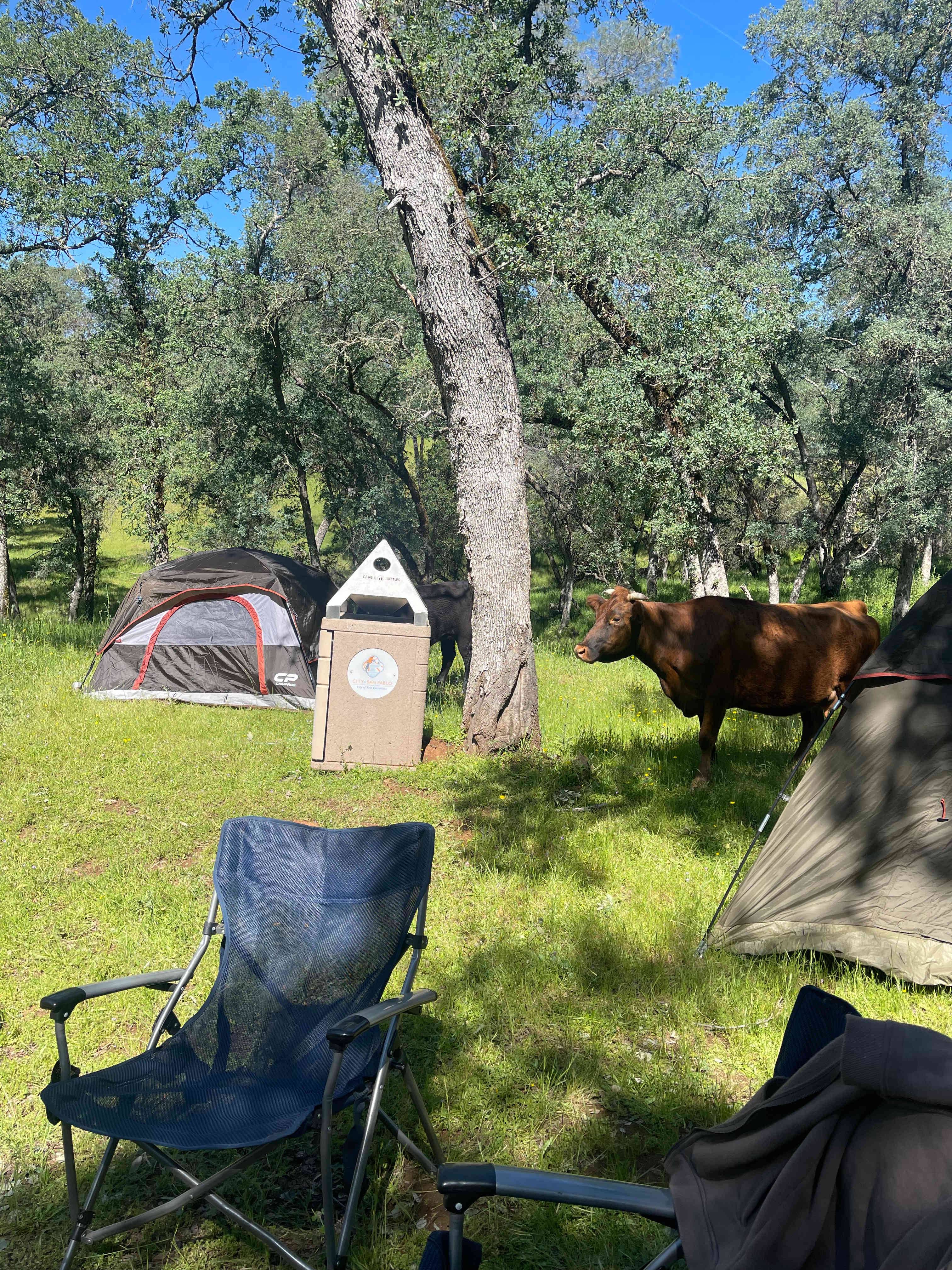Ascension Ranch