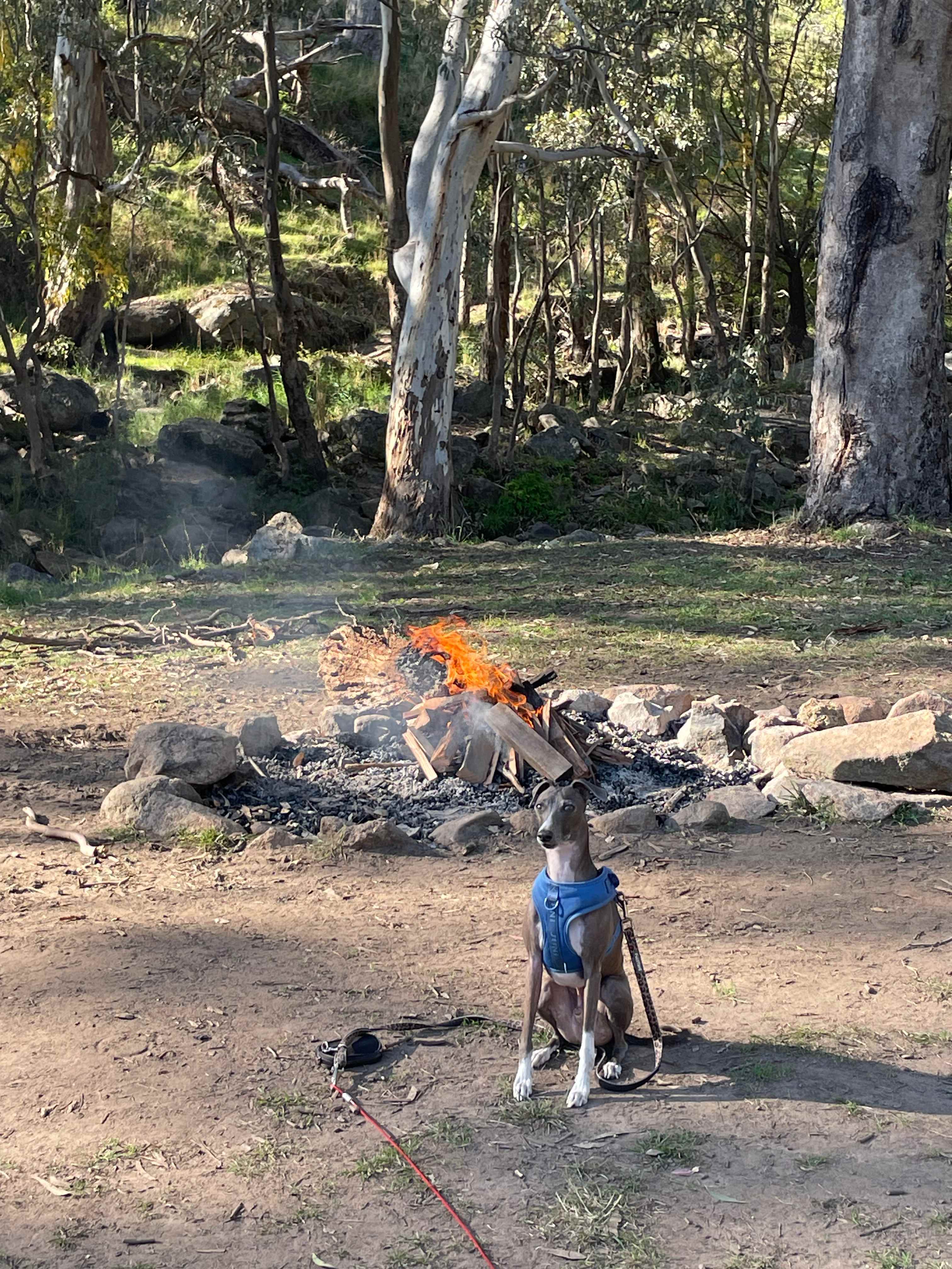 Glenmaye Farm – Creekside Camping