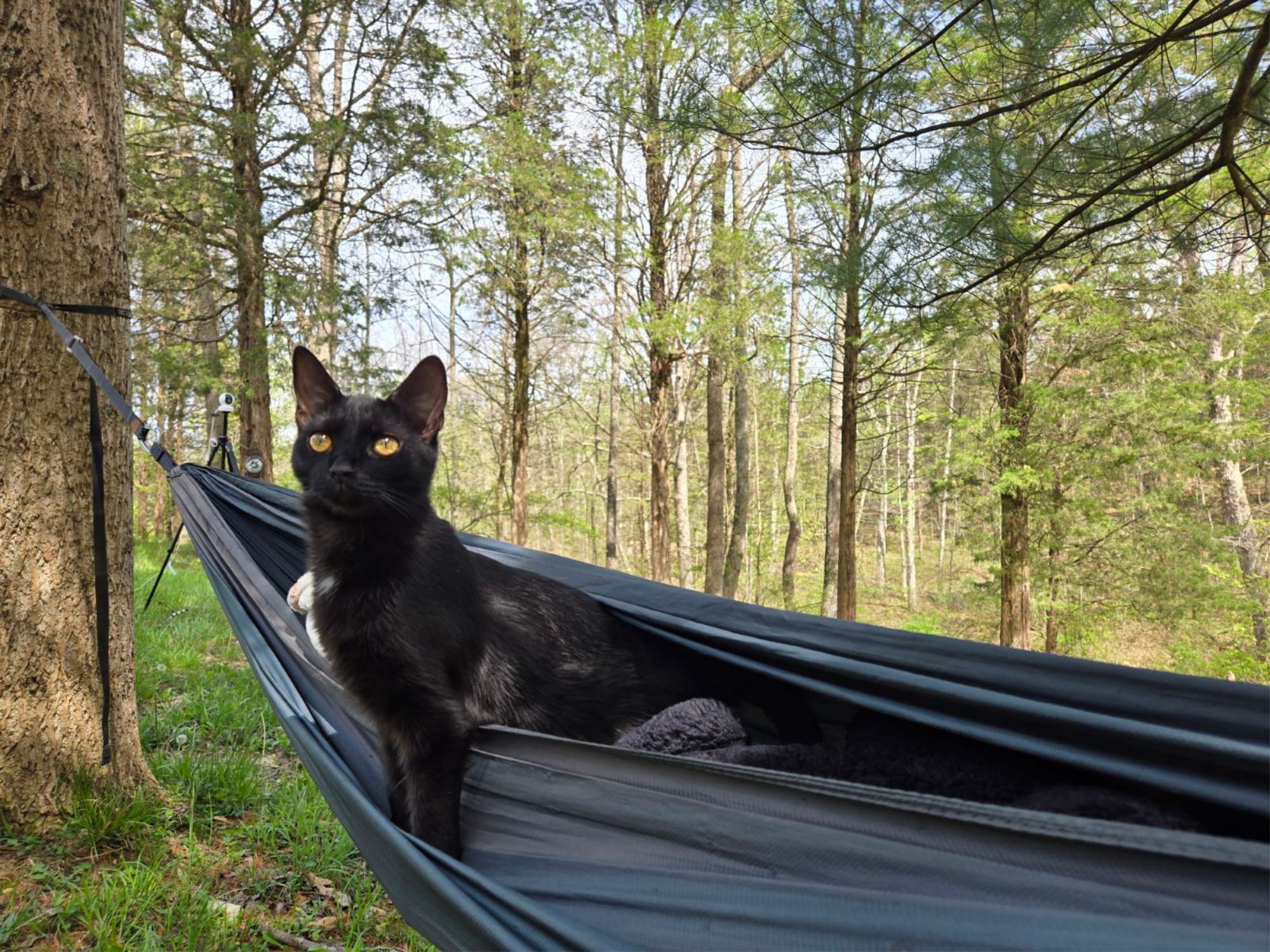 bird watching