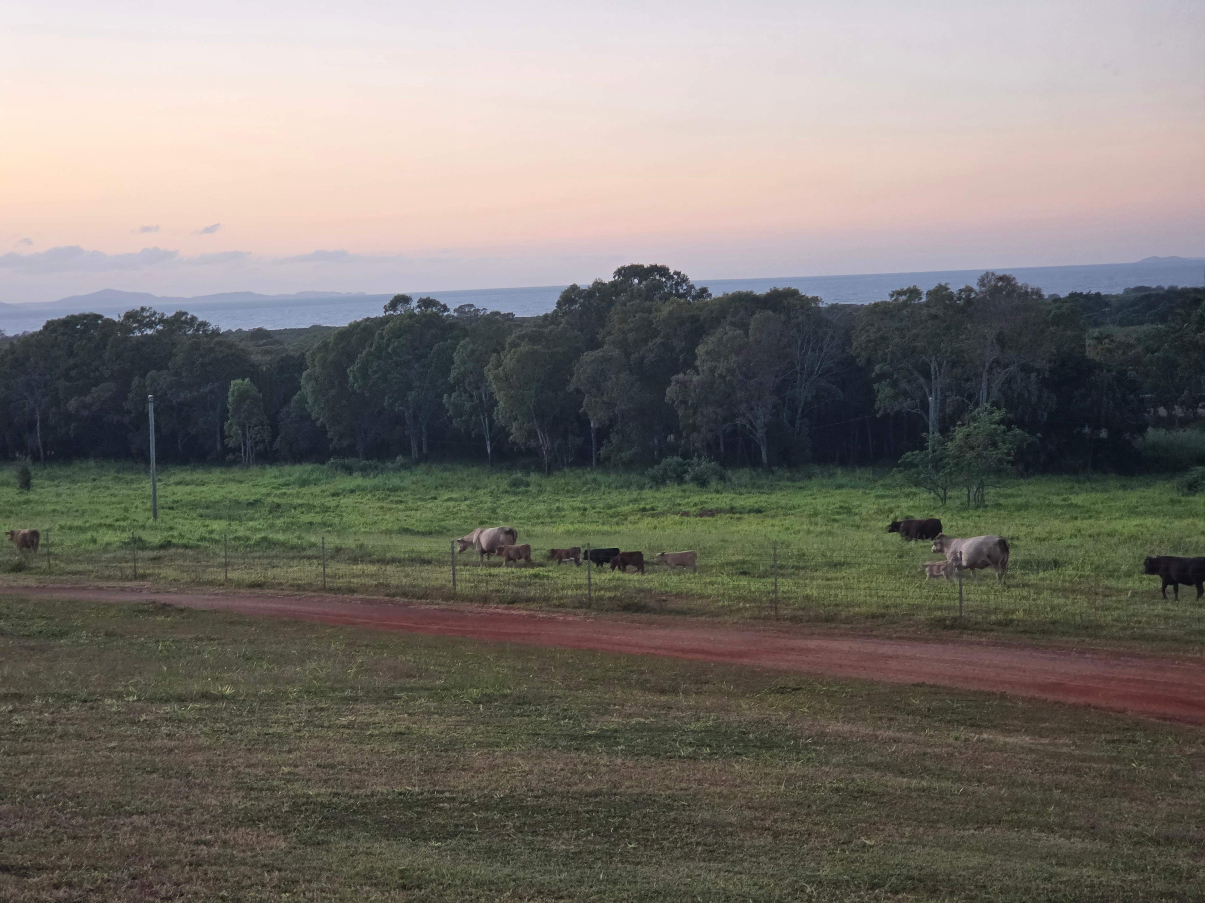 Yeppoon Farmstay