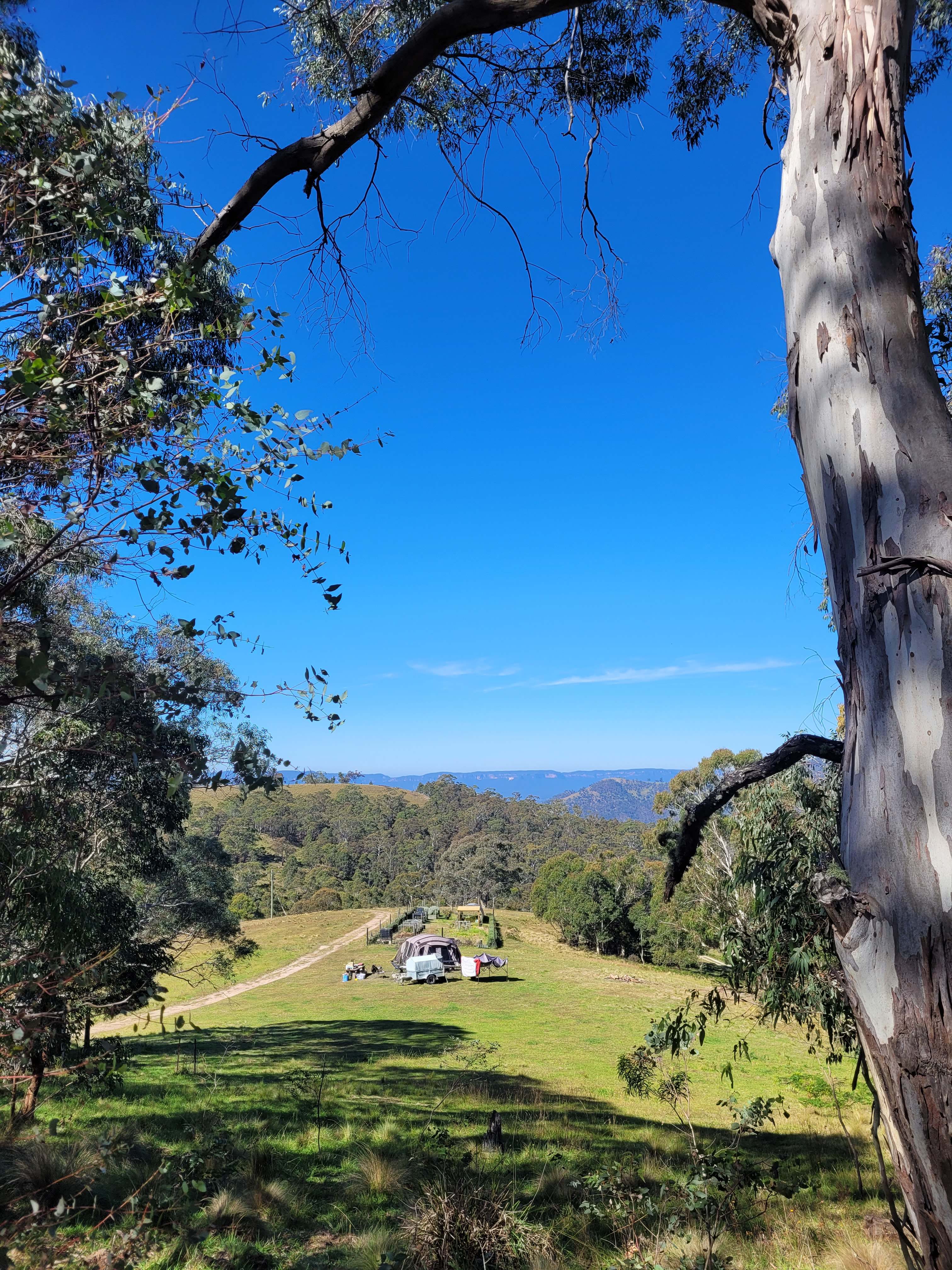 Aurora-Exclusive Blue Mountains
