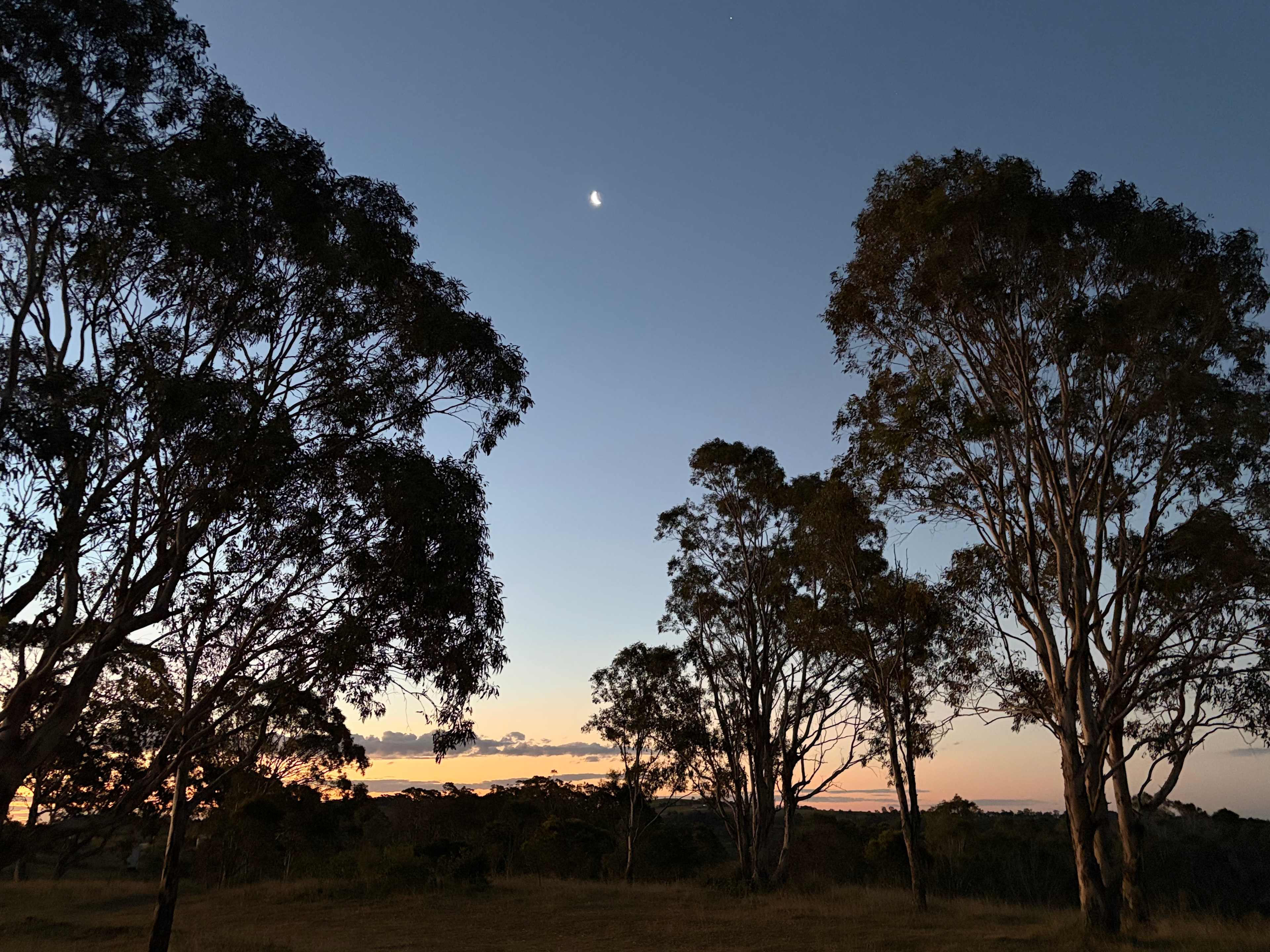 Hilltop Farm, Camping and Glamping.