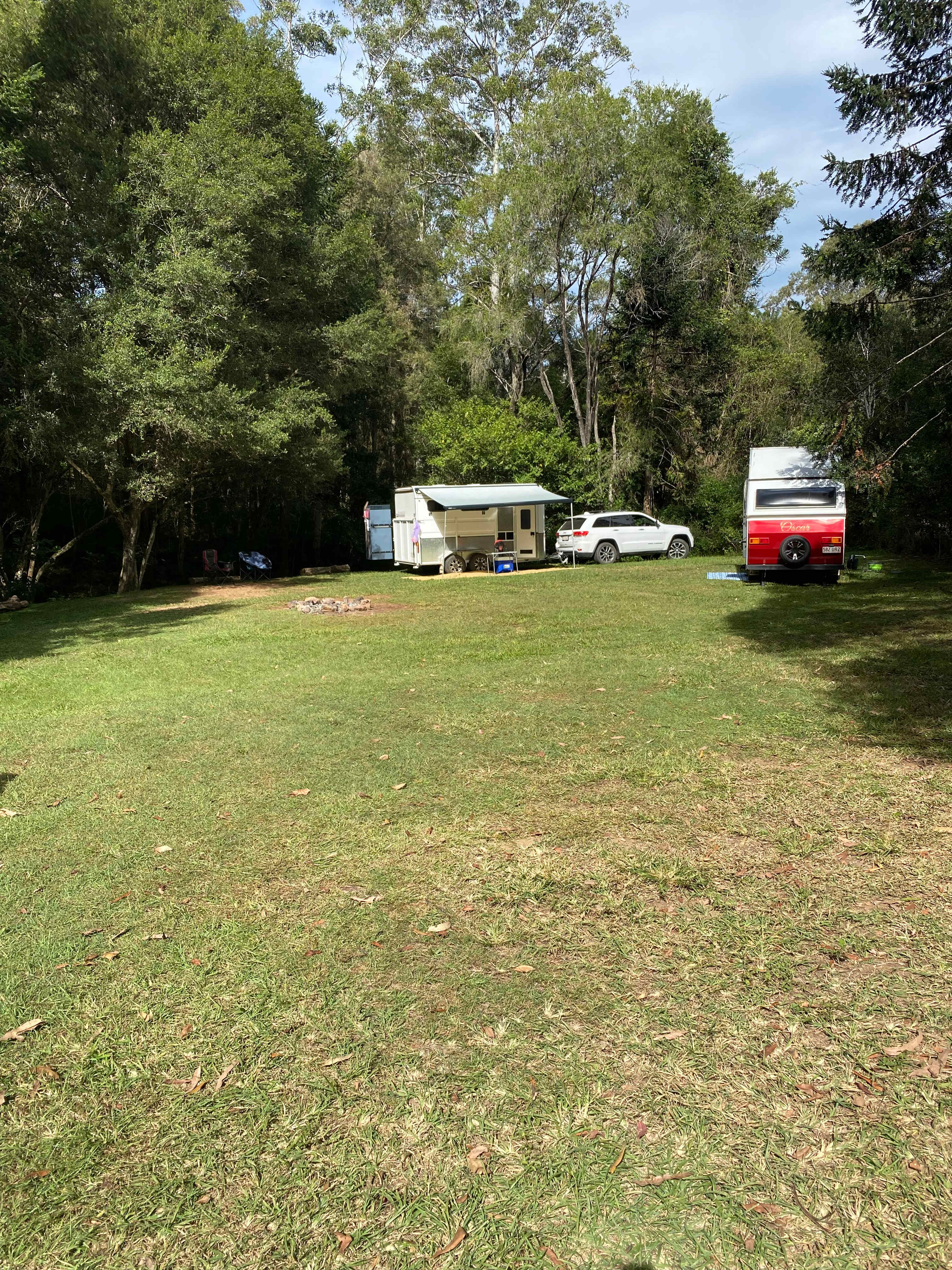 Bunya Grove
