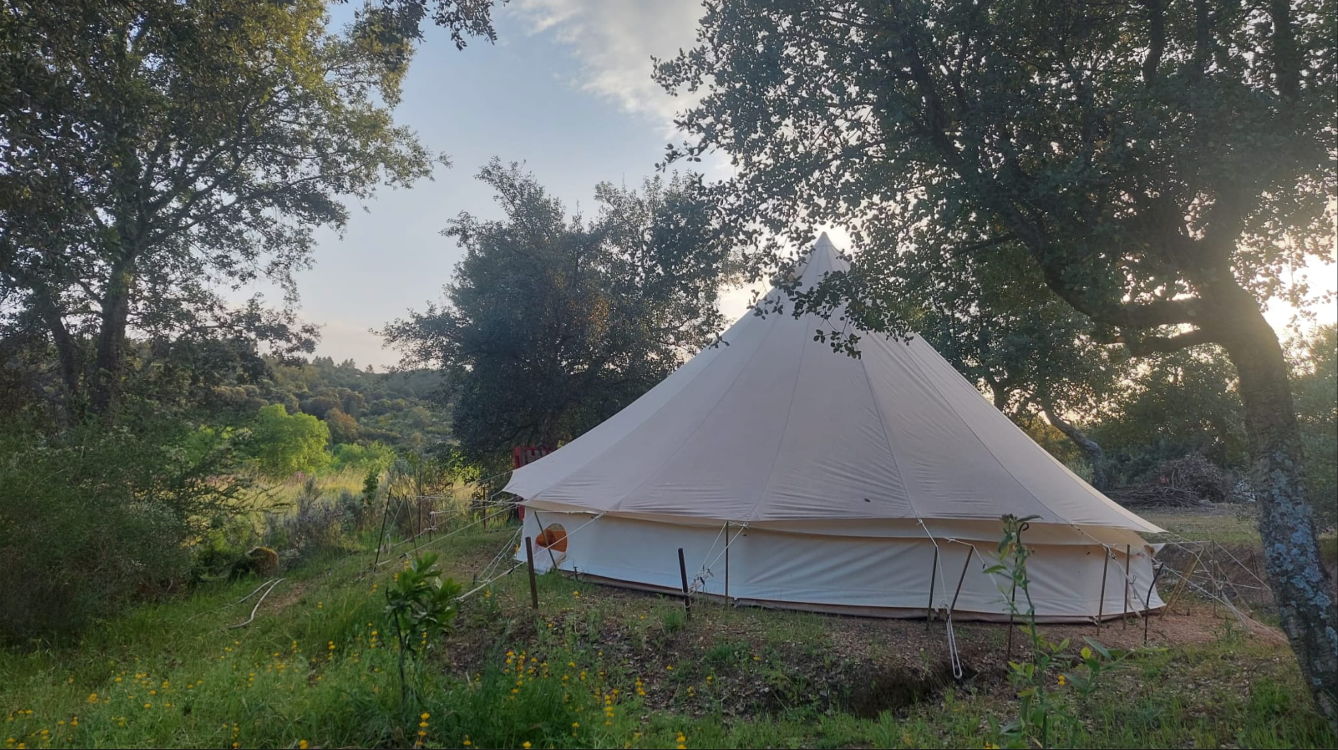 Picture of the site