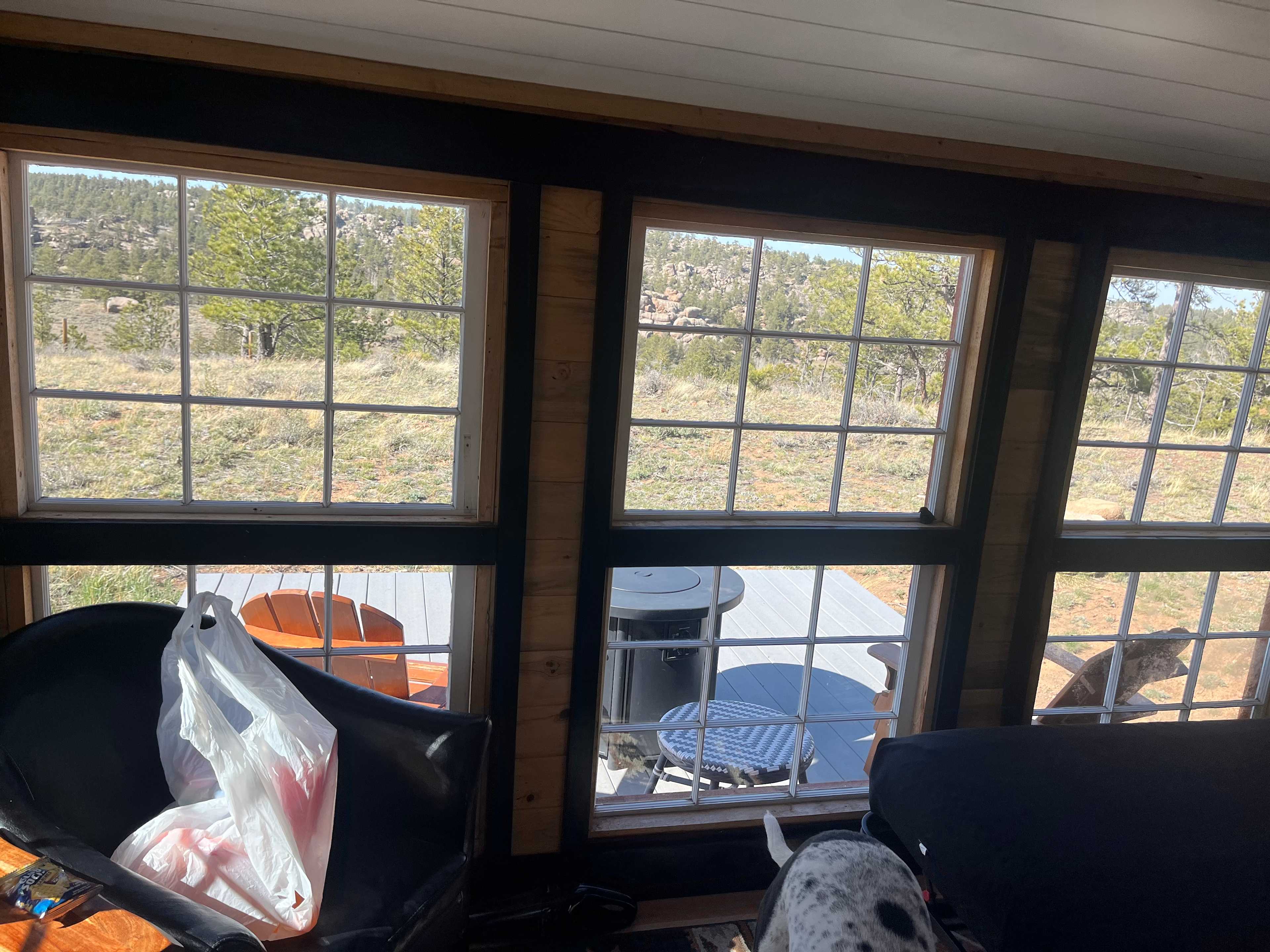 Loved all the windows!