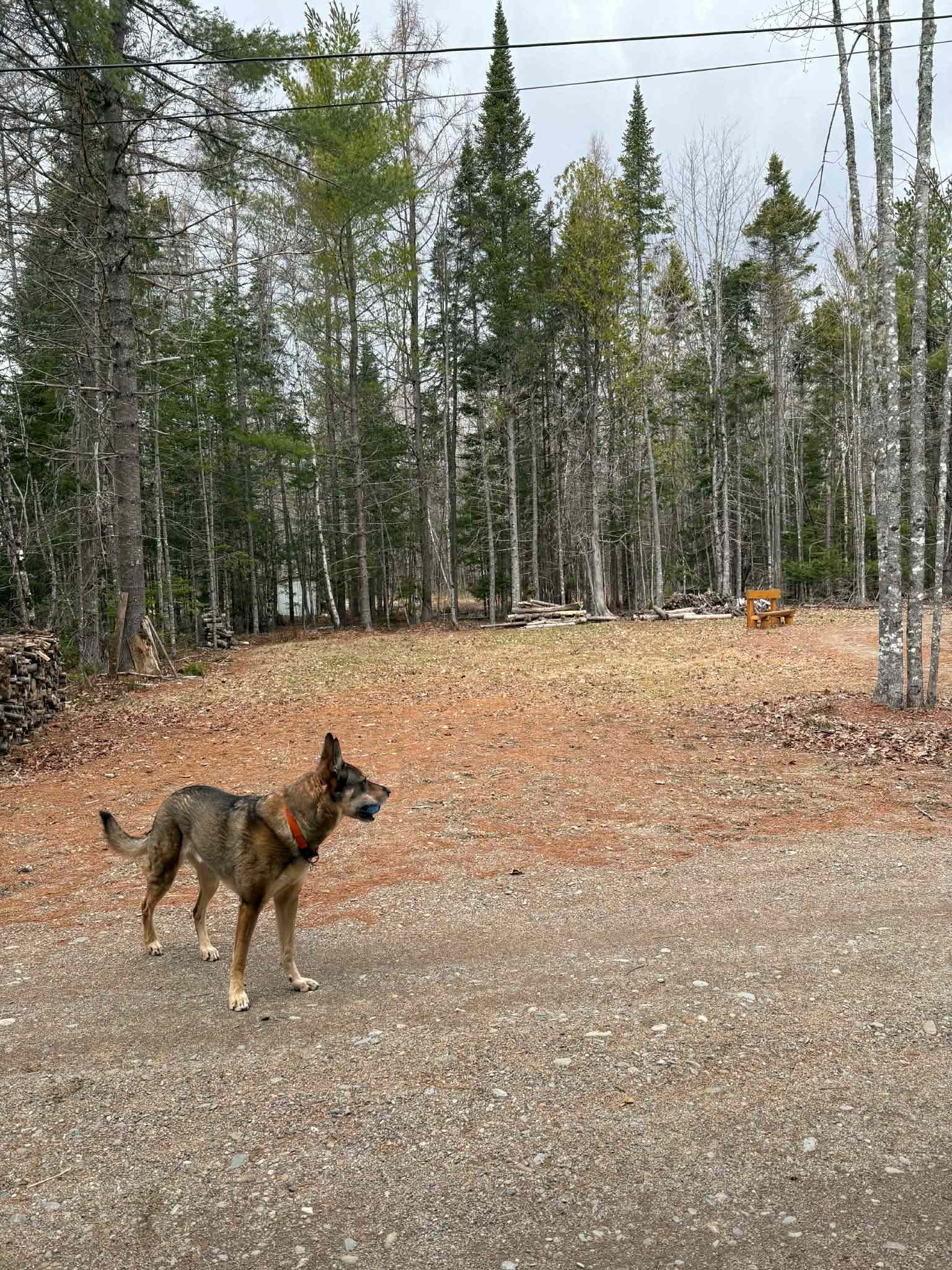 Picture of the site