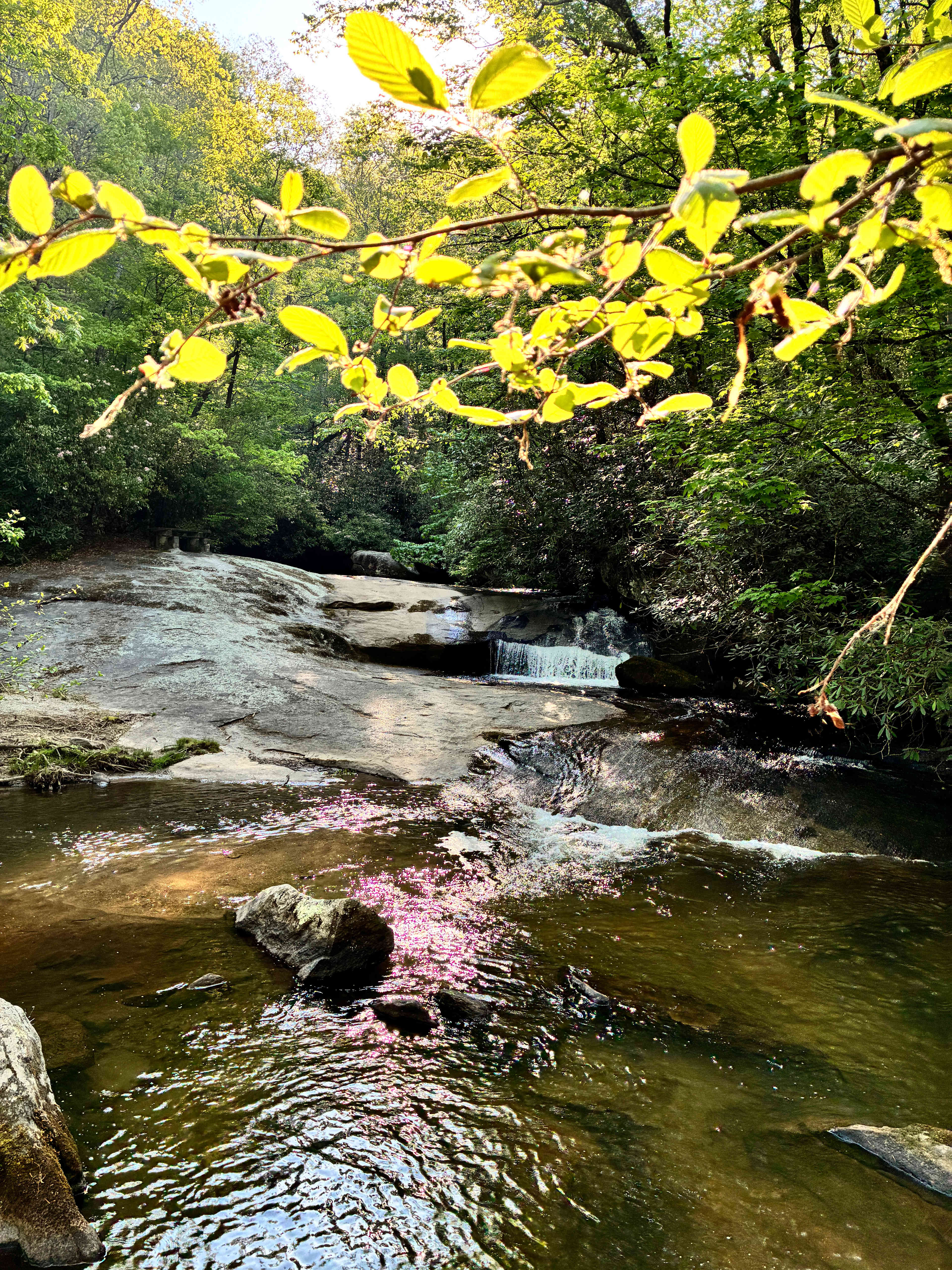 Secluded Waterfall Haven