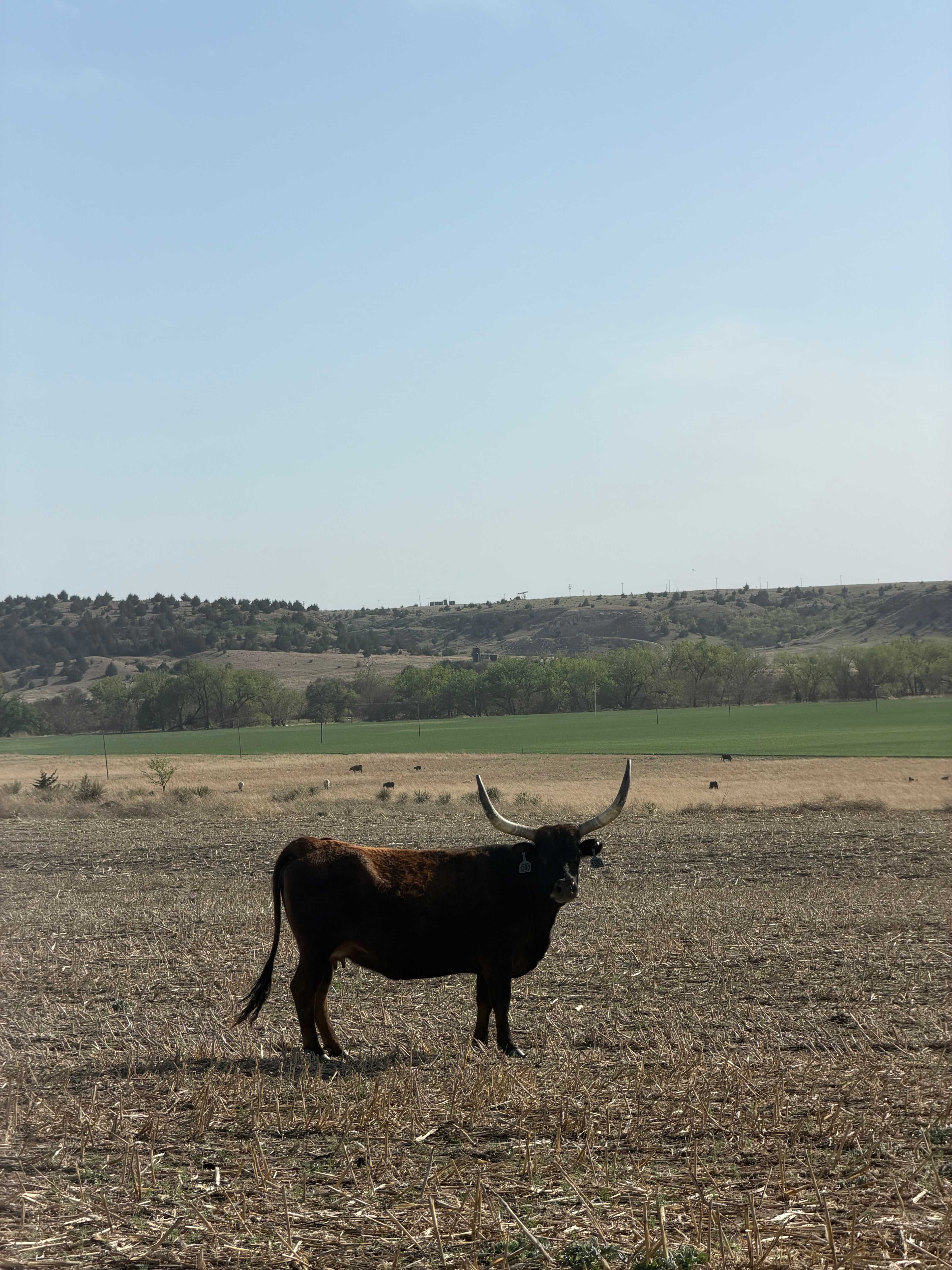 C2T Ranch on the Saline River
