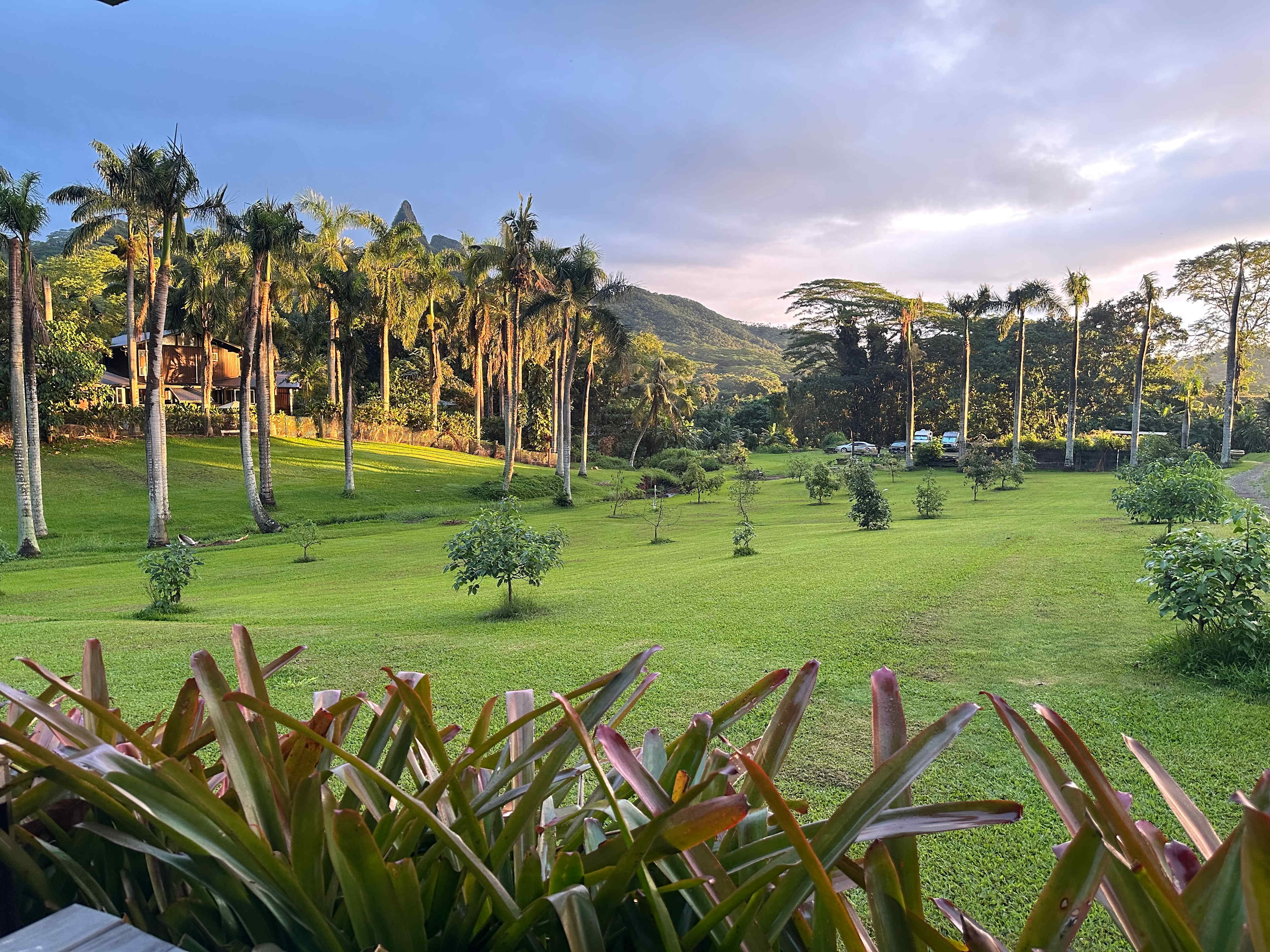 Waimanalo Farmstay