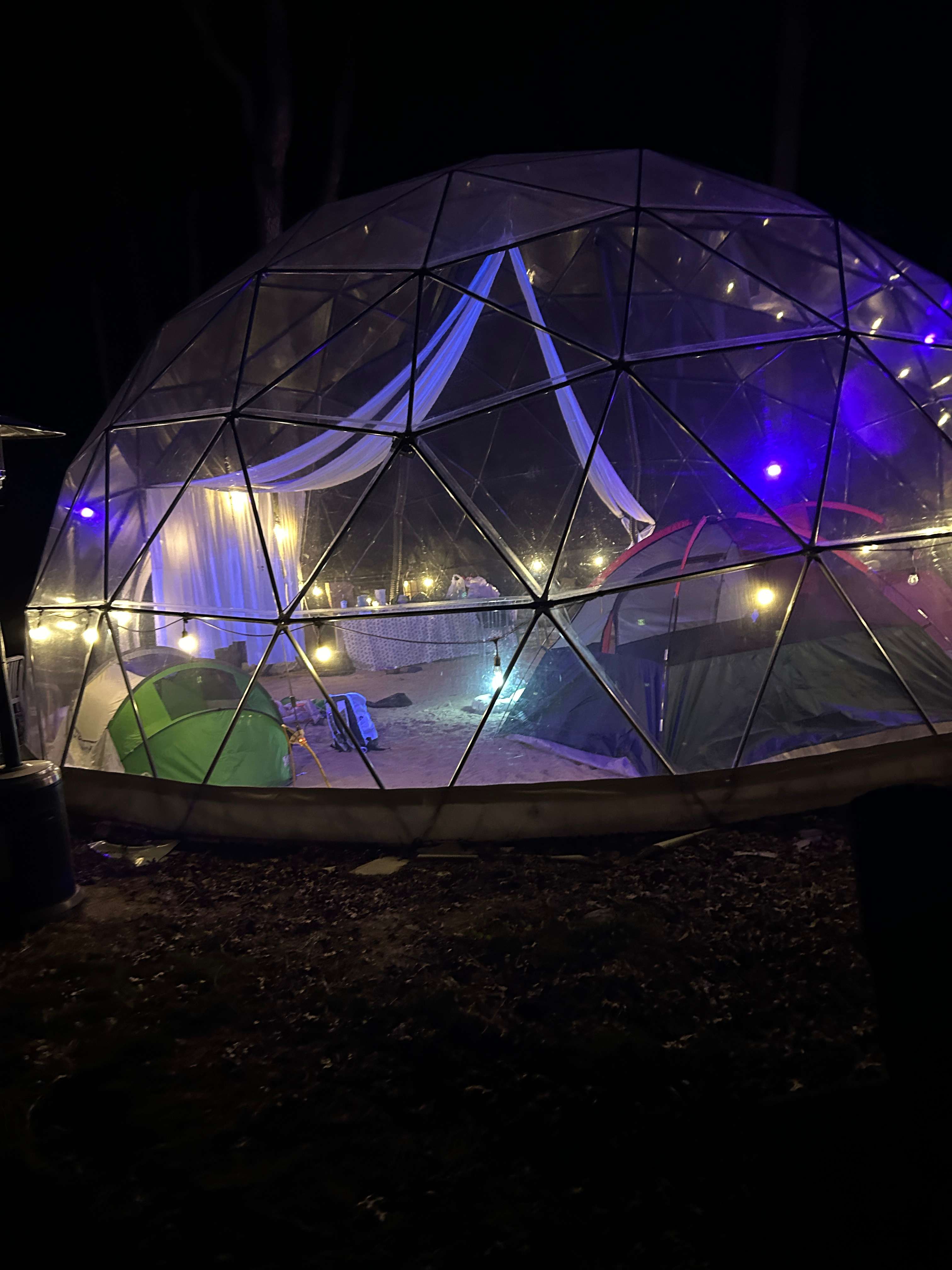 Glamping with the Wild Horses