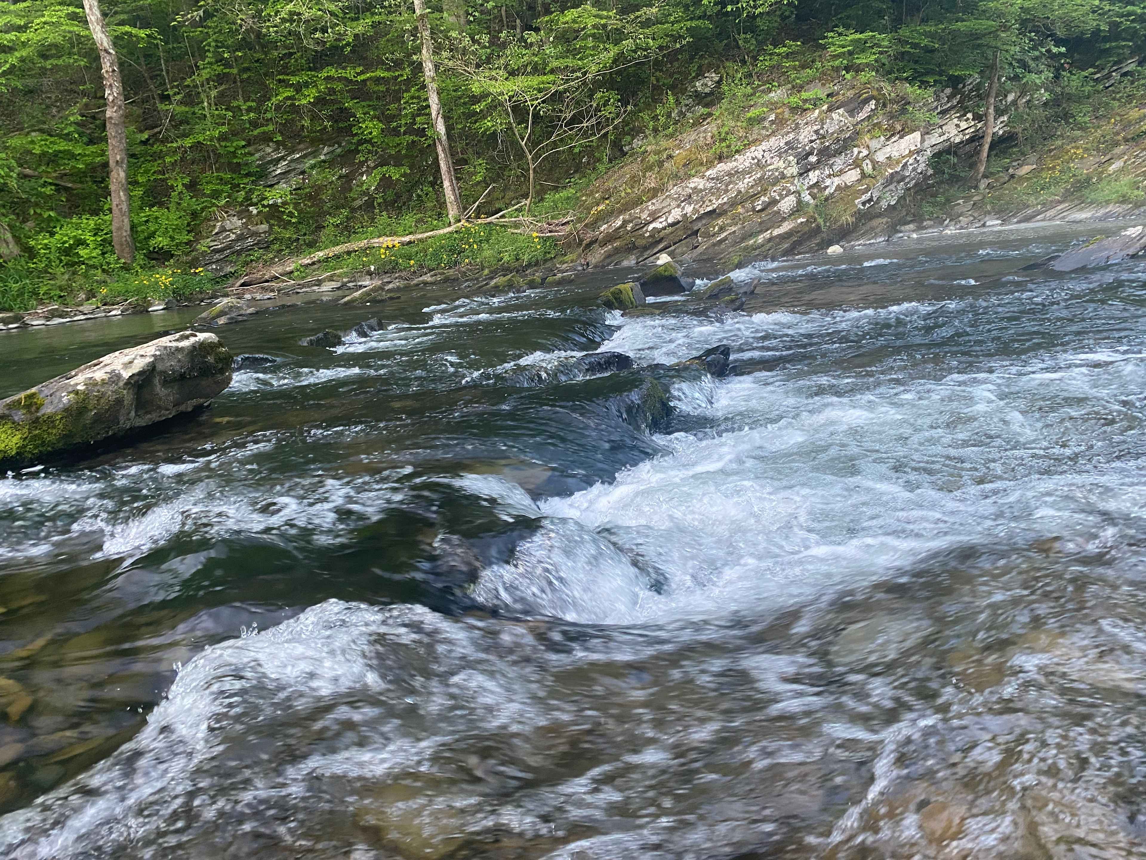 River located down the hill from our campsite 