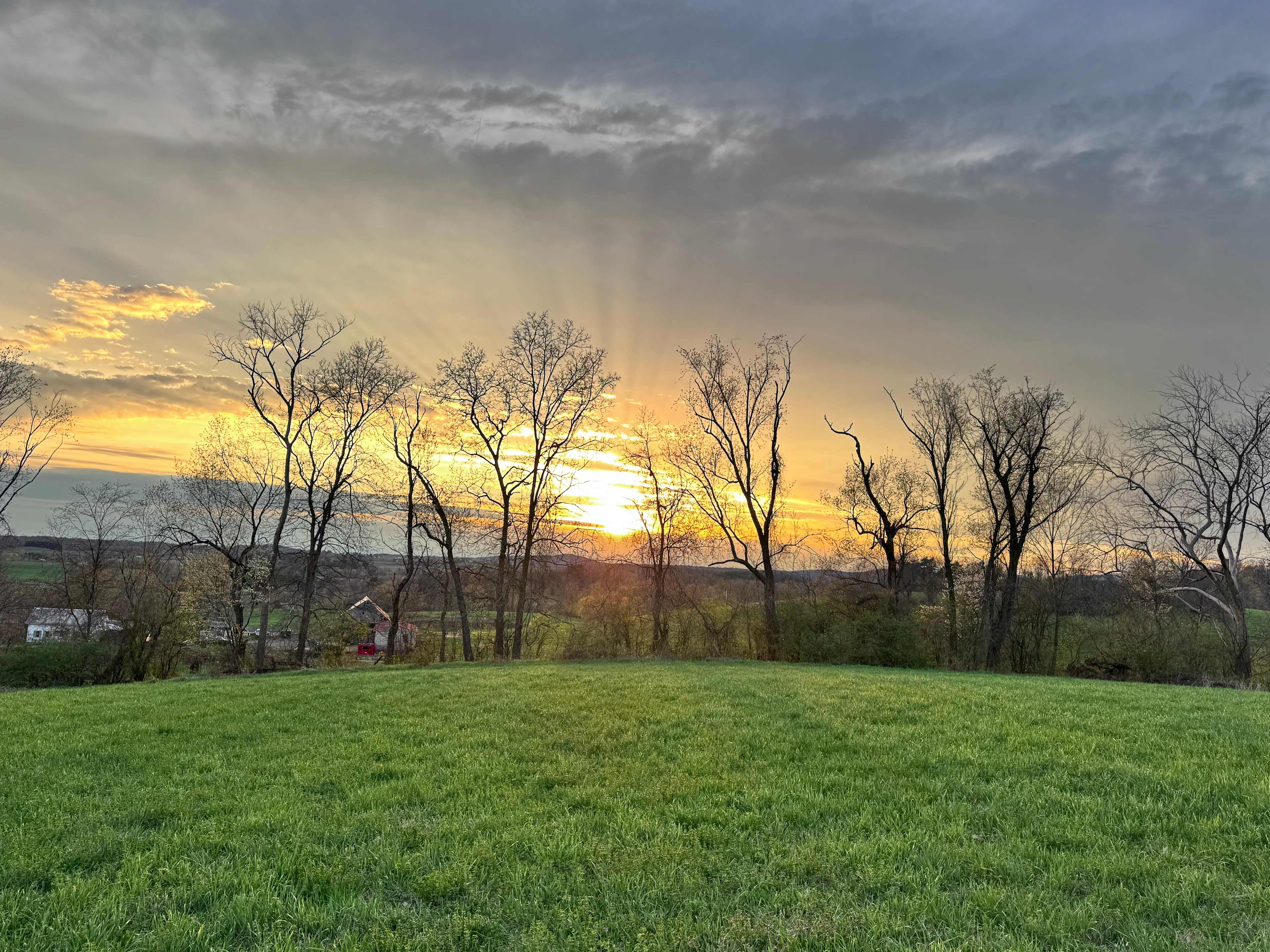 Dickensen Farm: Cabins & Camping