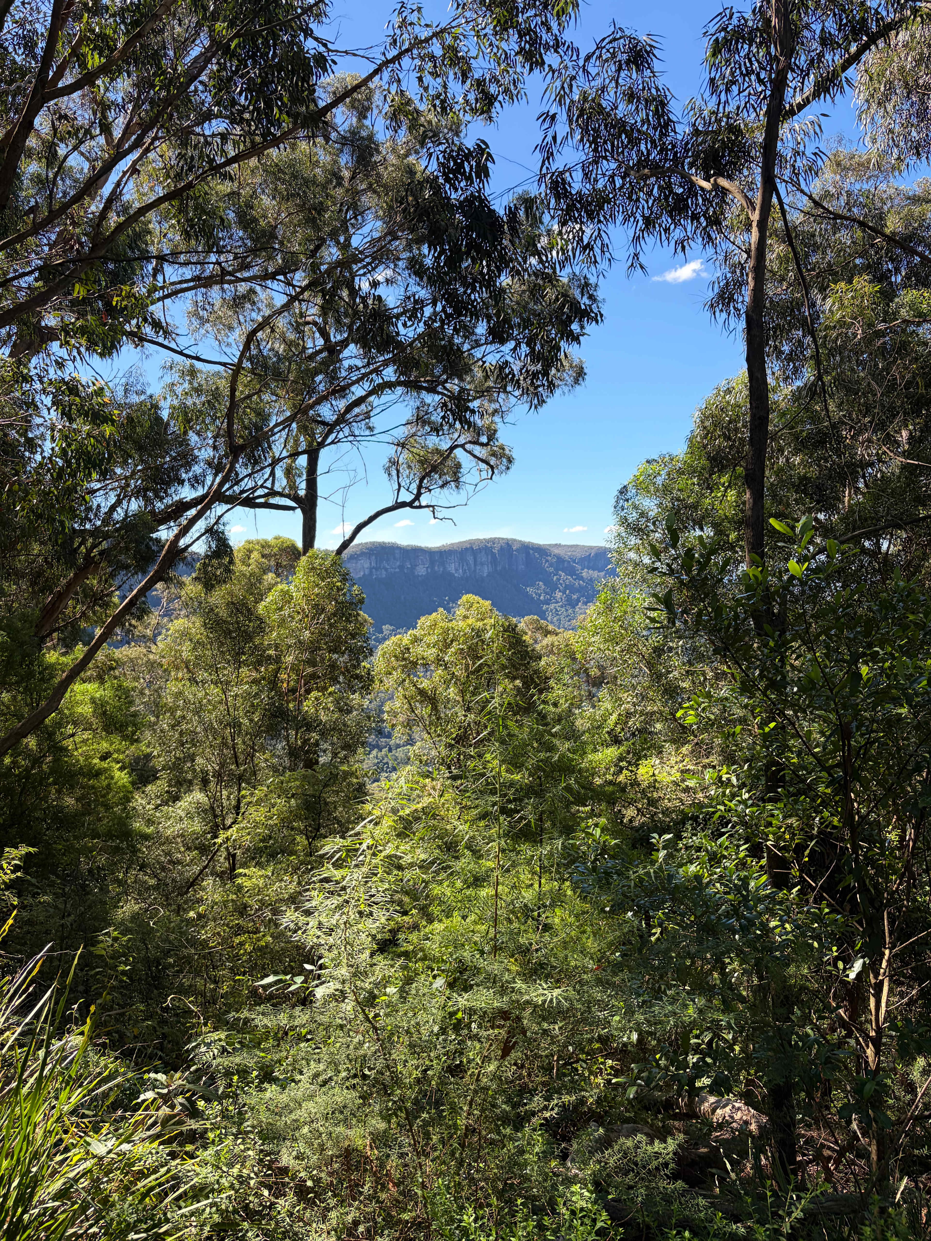 Mellows Ridge