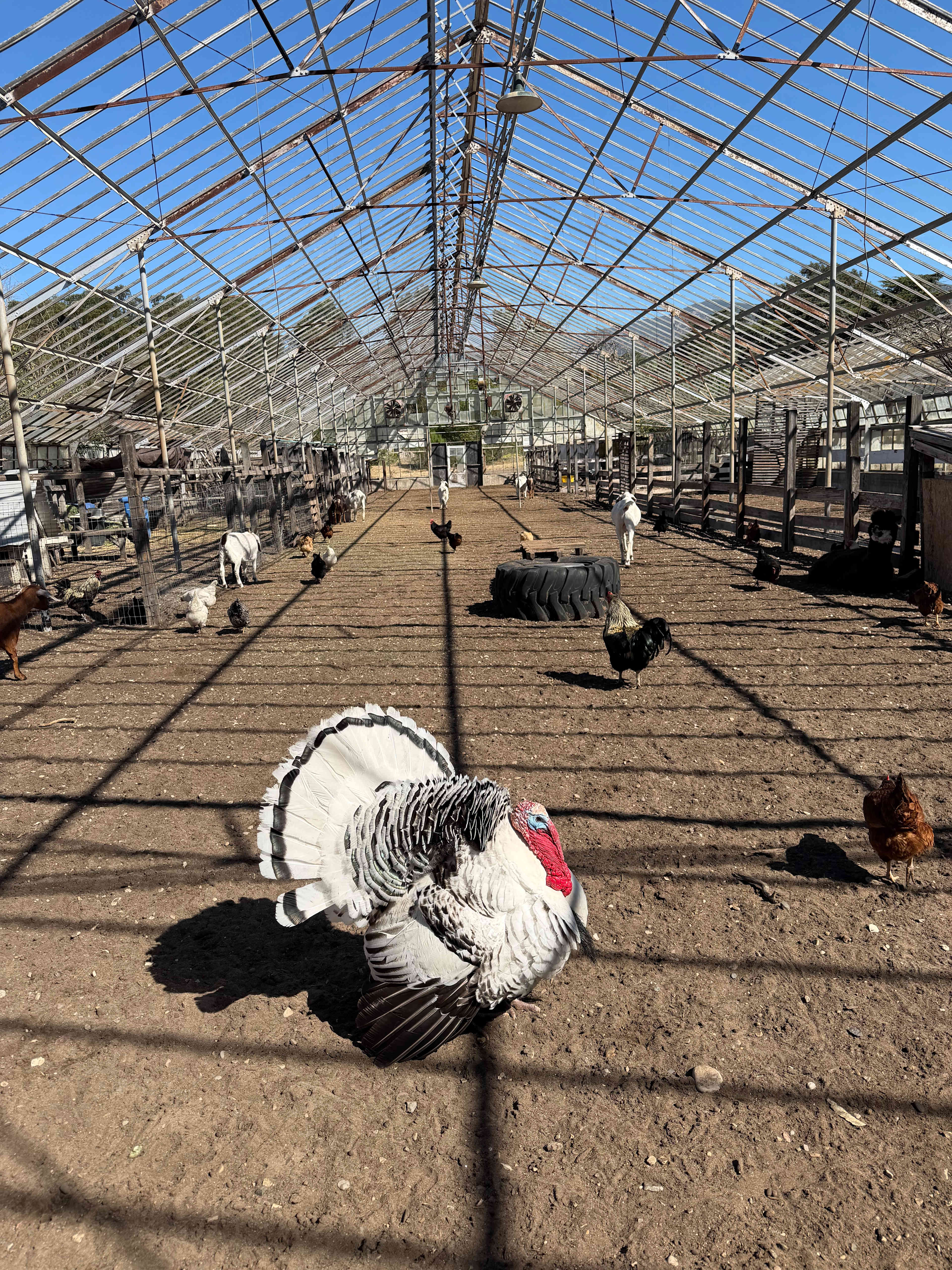 Private Beach Farm